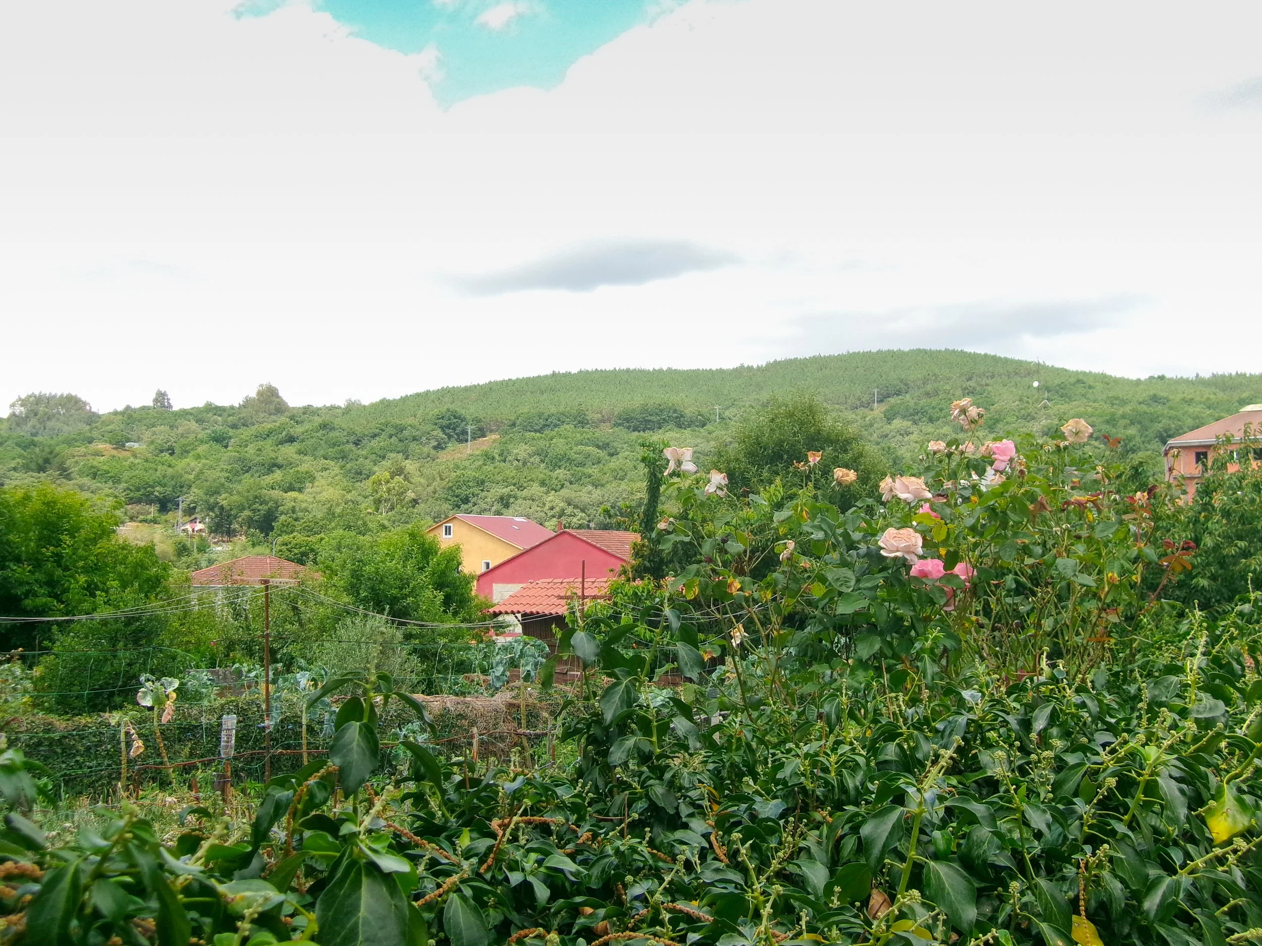 Fonte de Ouro