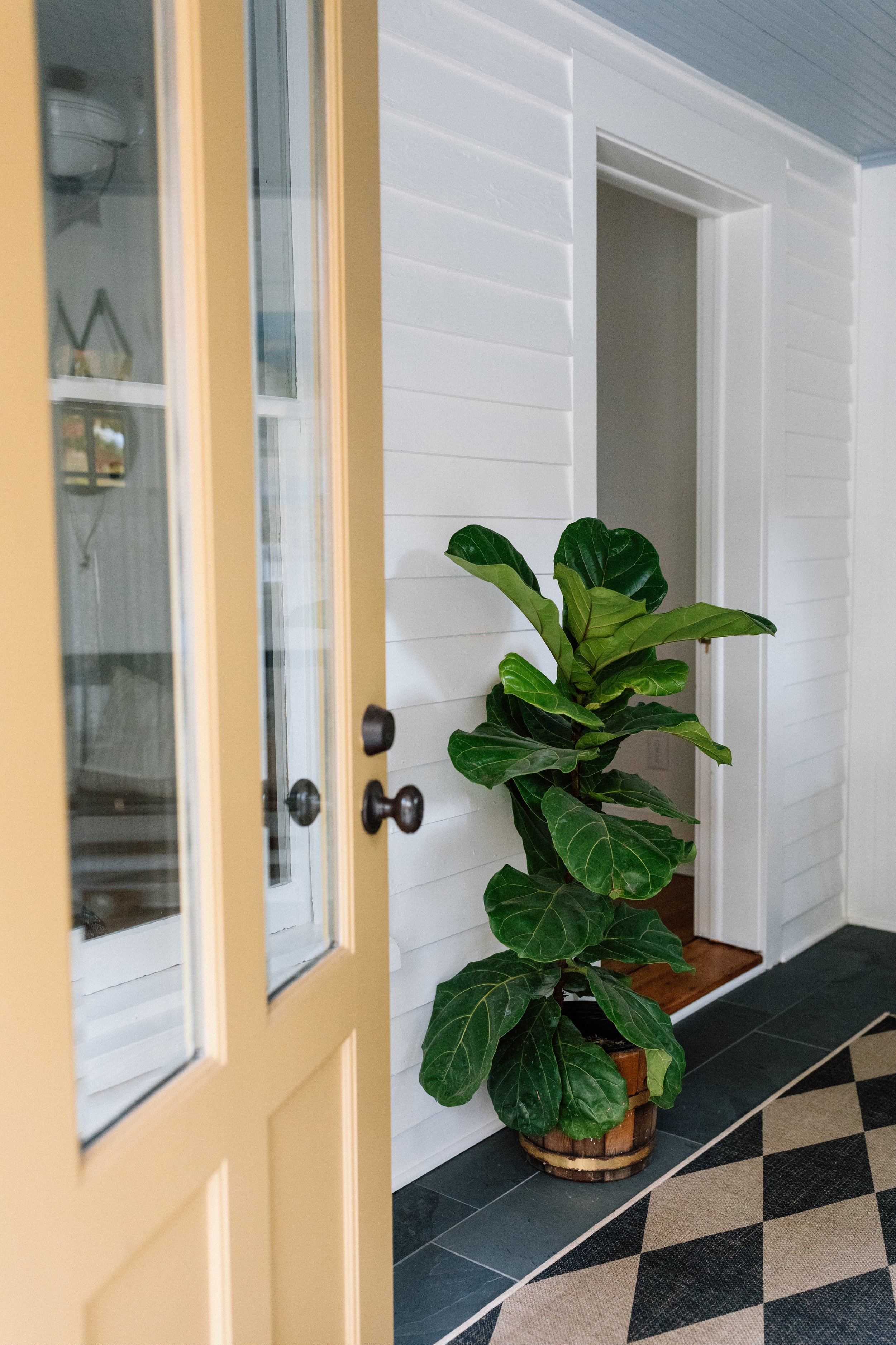 Copy of Kaymariephotography-Madison-68.jpg