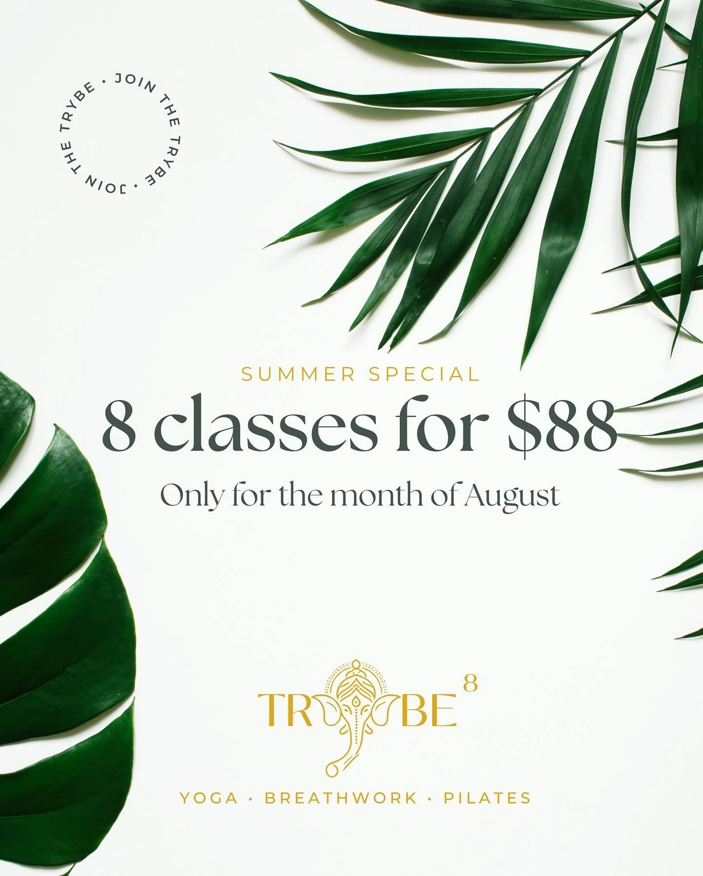 We&rsquo;re feeling the magic of 8 ✨

To celebrate our angel number, Trybe 8 is offering 8 classes for $88 (all August long). 

🌿 Limited-time offer. Link in bio, tap in now!

#miamibeachwellness #pilatessculpt #yoga #miami