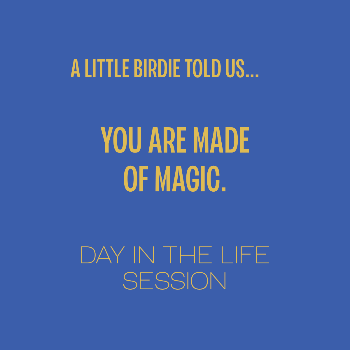 Day in the Life Session