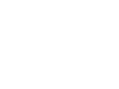 tiny-rebel.png