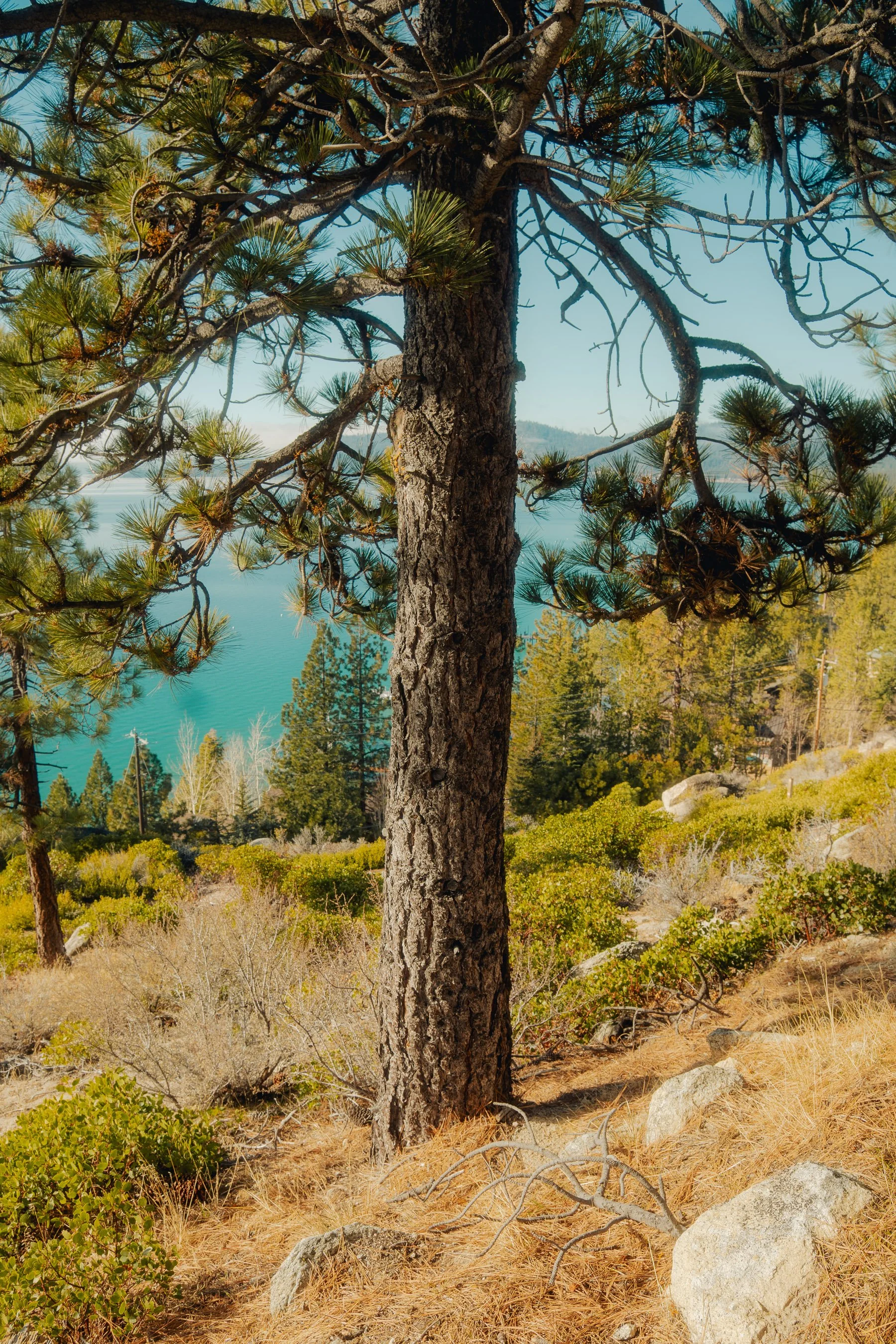 tahoe_2025-68.jpg
