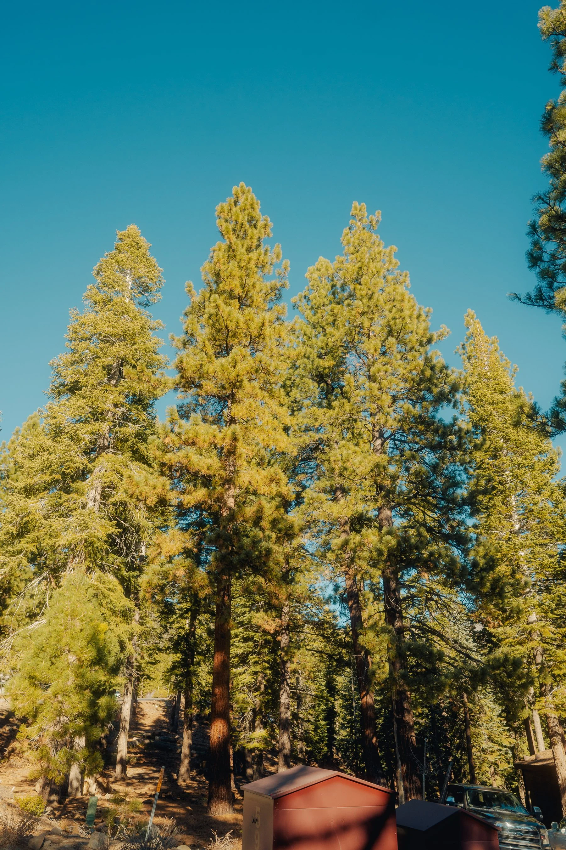 tahoe_2025-16.jpg