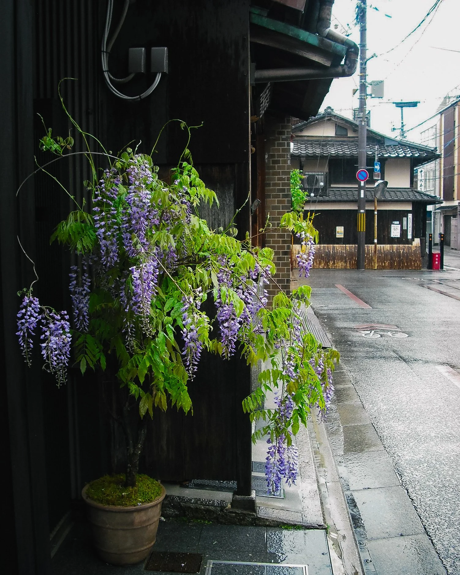 gion-4.jpg