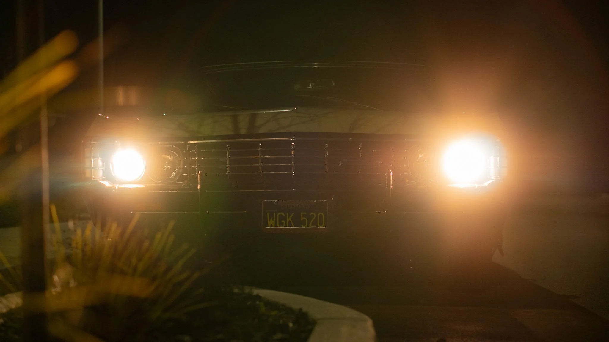 Front view of a car with bright headlights on a dark night, license plate WGK 520, partially obscured by plants and a nearby pole.