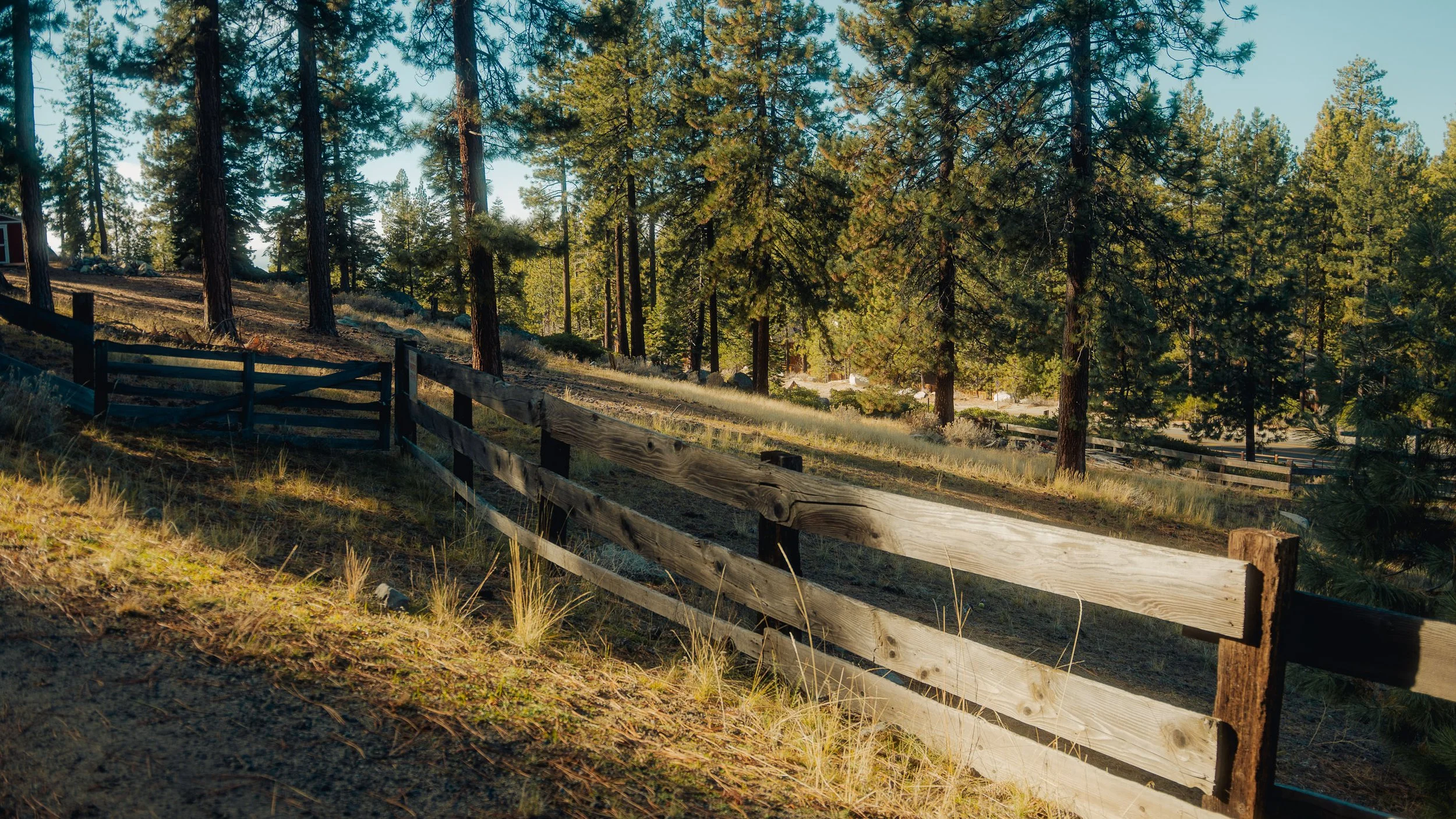 tahoe_2025-57.jpg