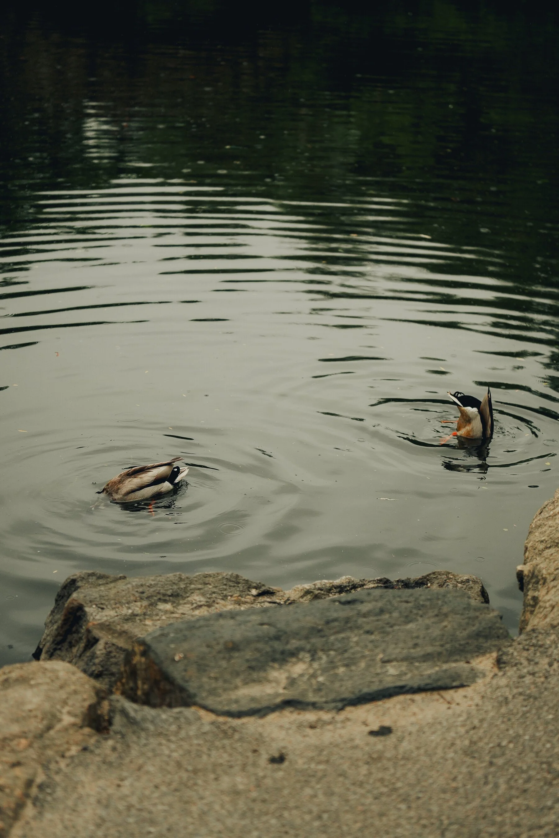 untitled-34.jpg