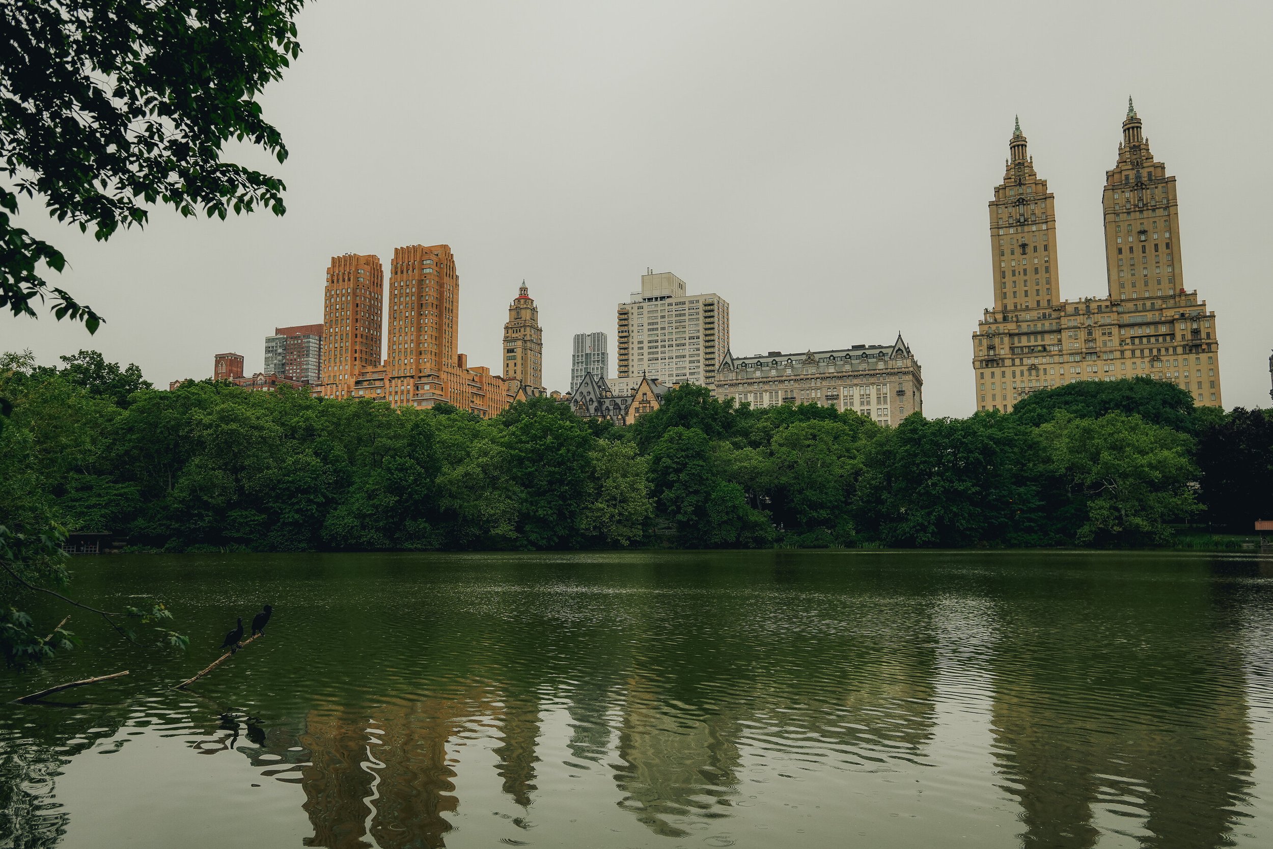 untitled-55.jpg