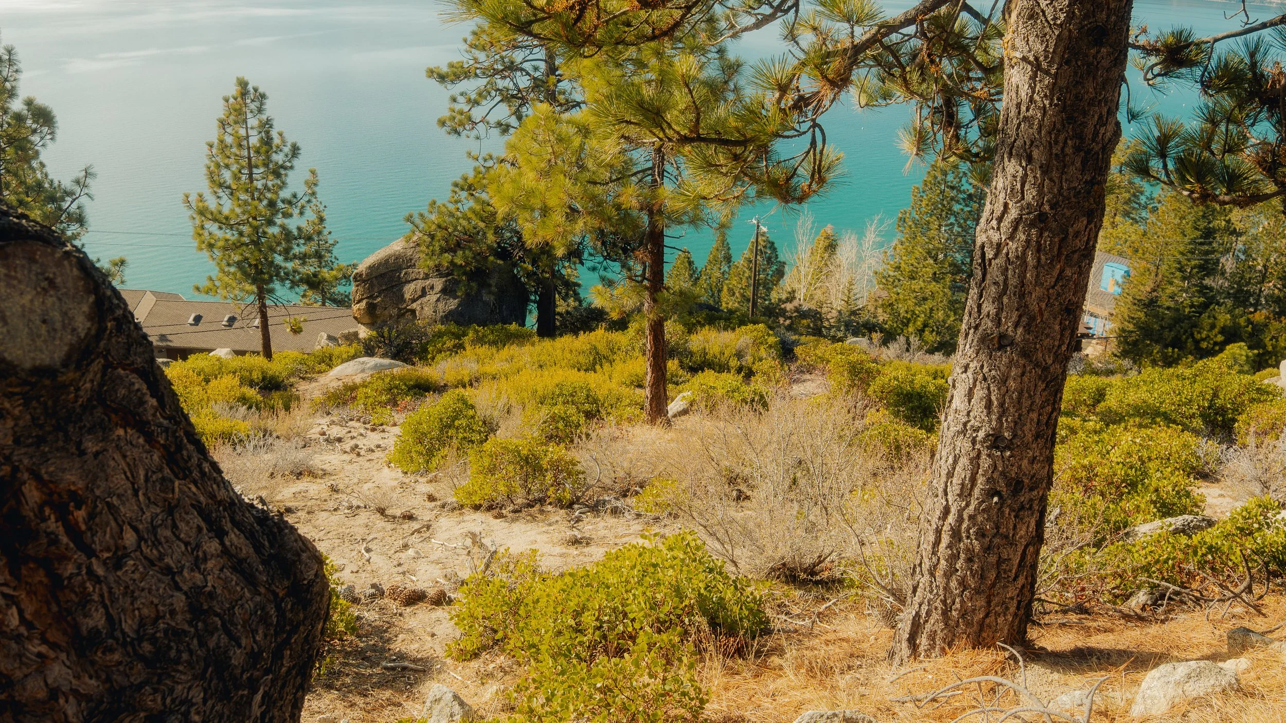 tahoe_2025-69.jpg