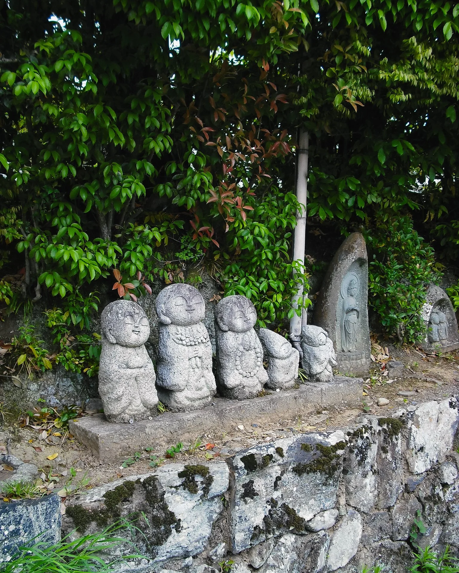 Arashiyama, JP