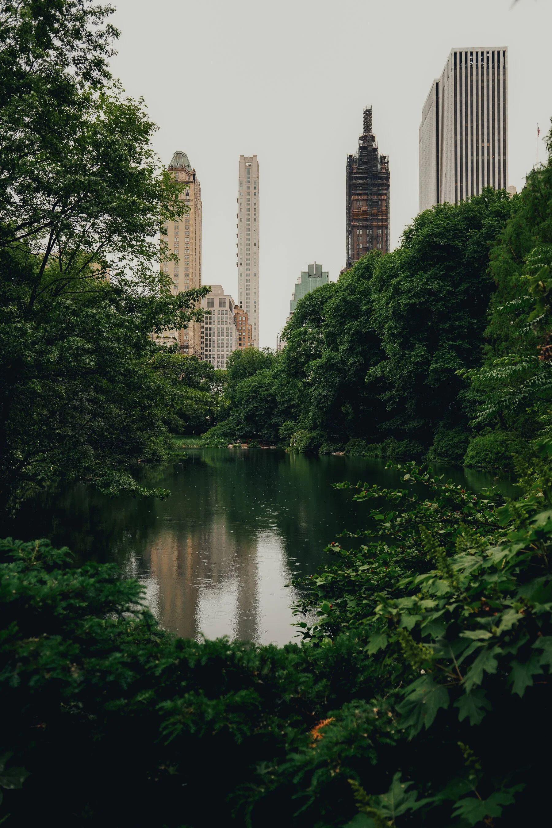 untitled-15.jpg
