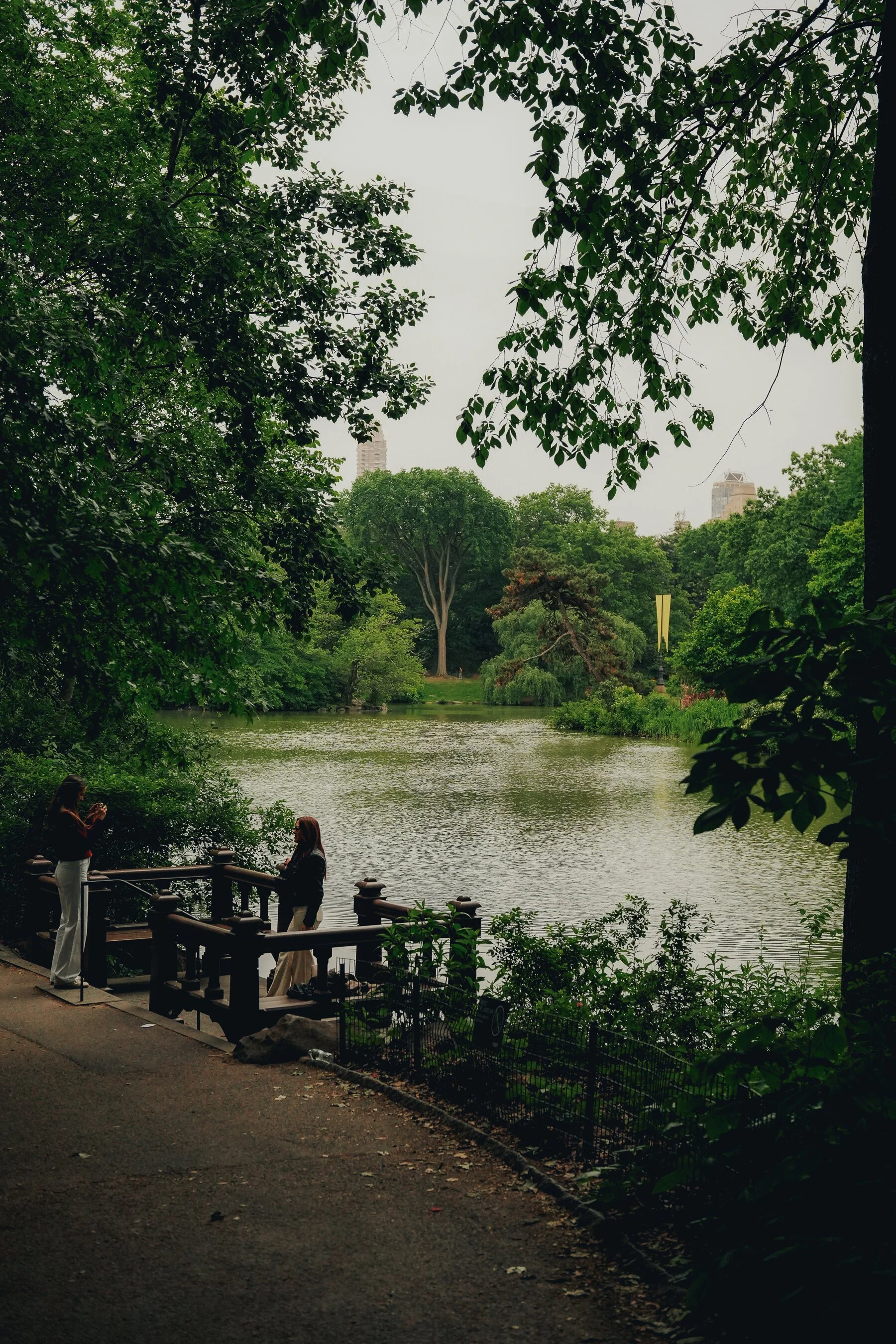 untitled-51.jpg