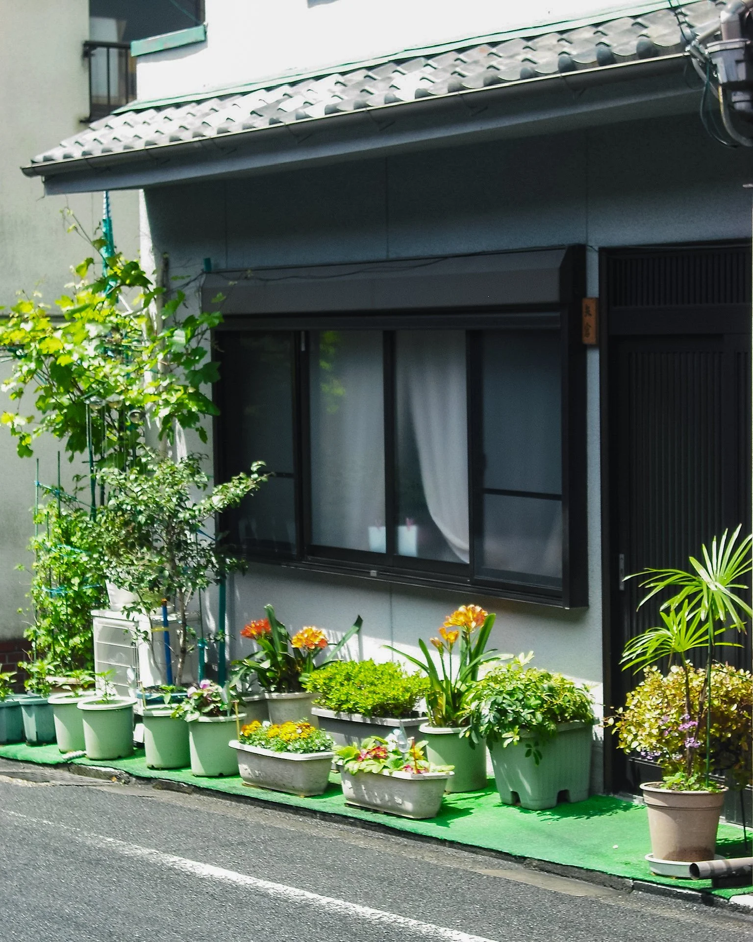 gion-12.jpg