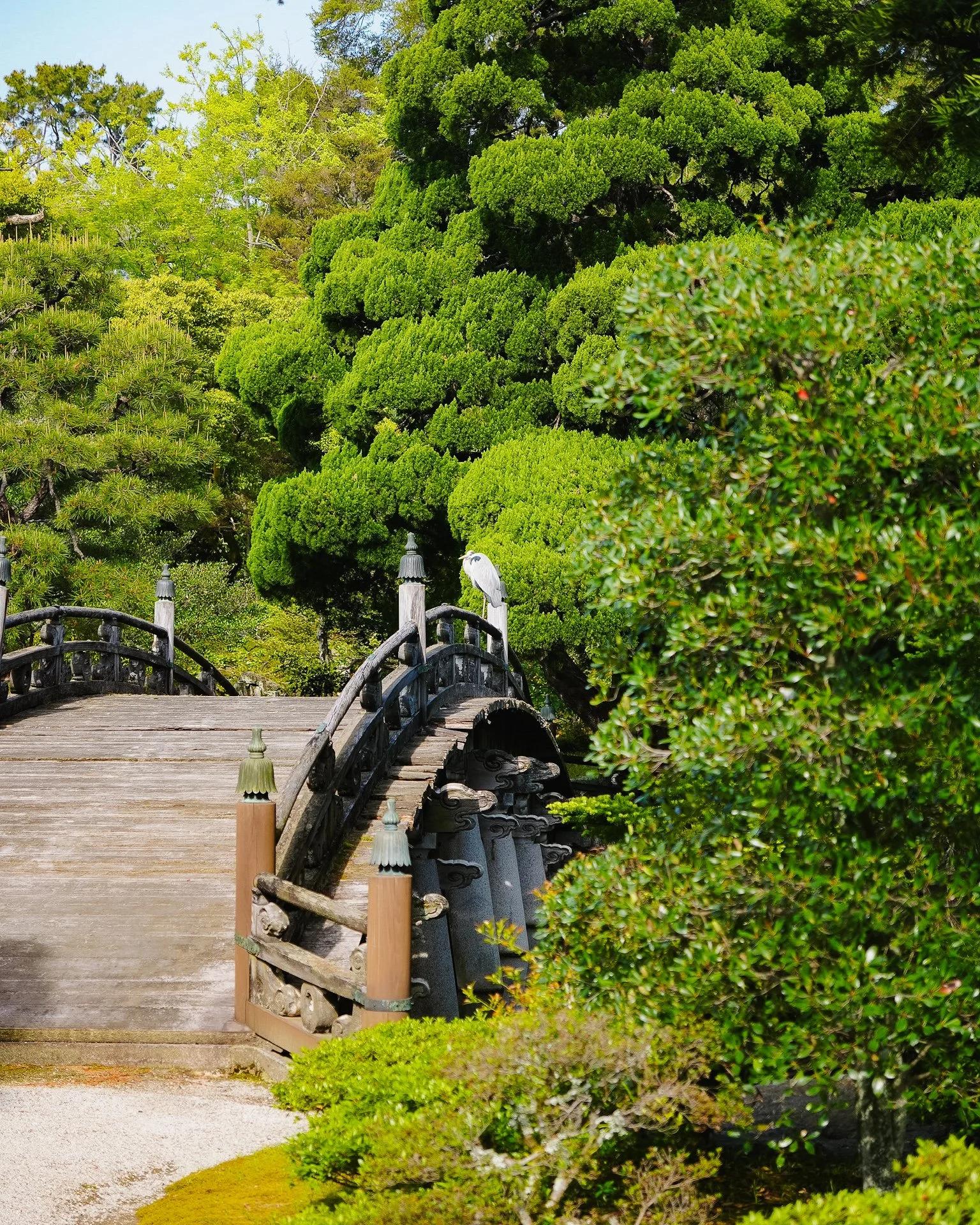 kyoto-19.jpg
