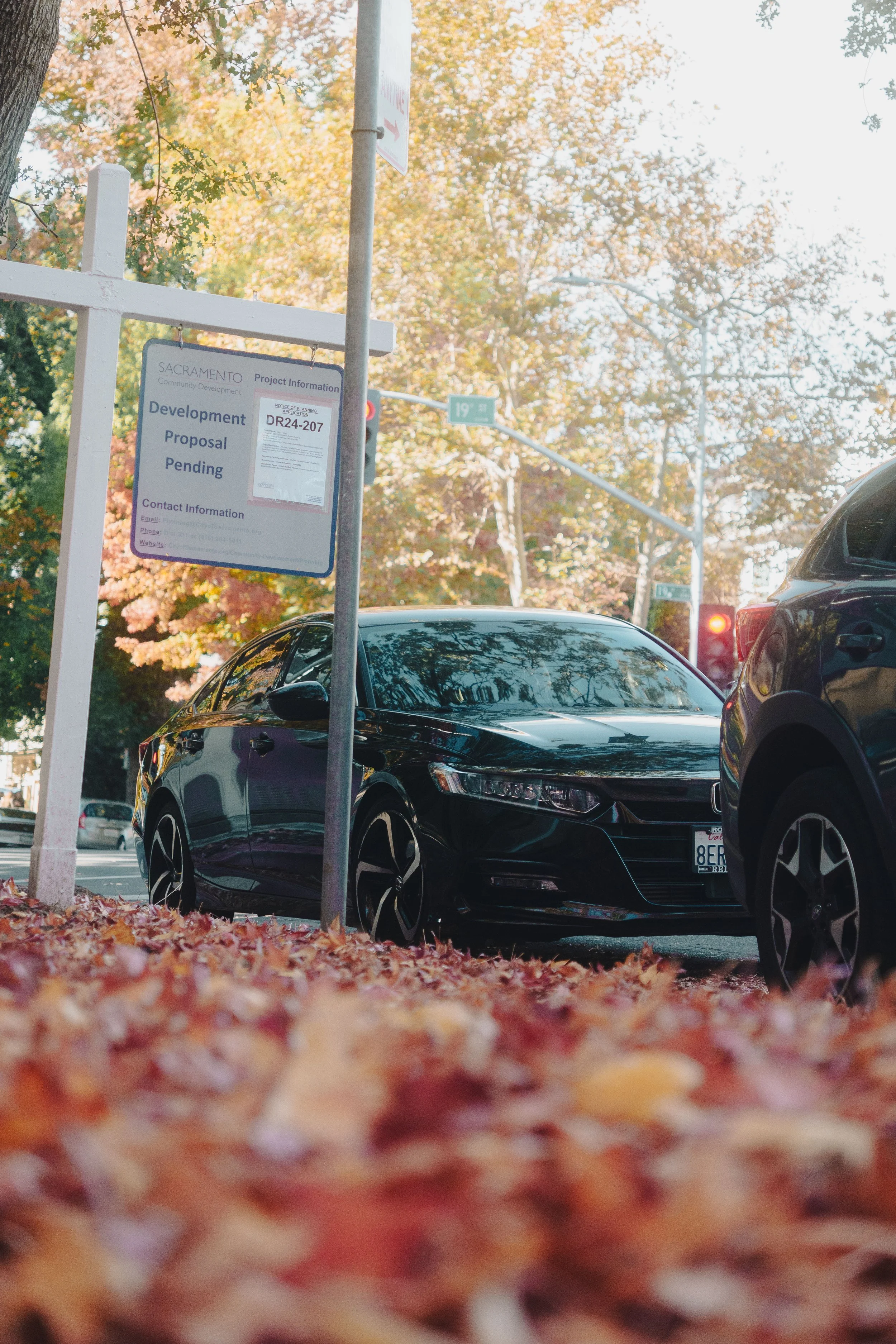A street view with a black car in the foreground, parking signs, fall leaves on the ground, and trees with orange and yellow leaves.