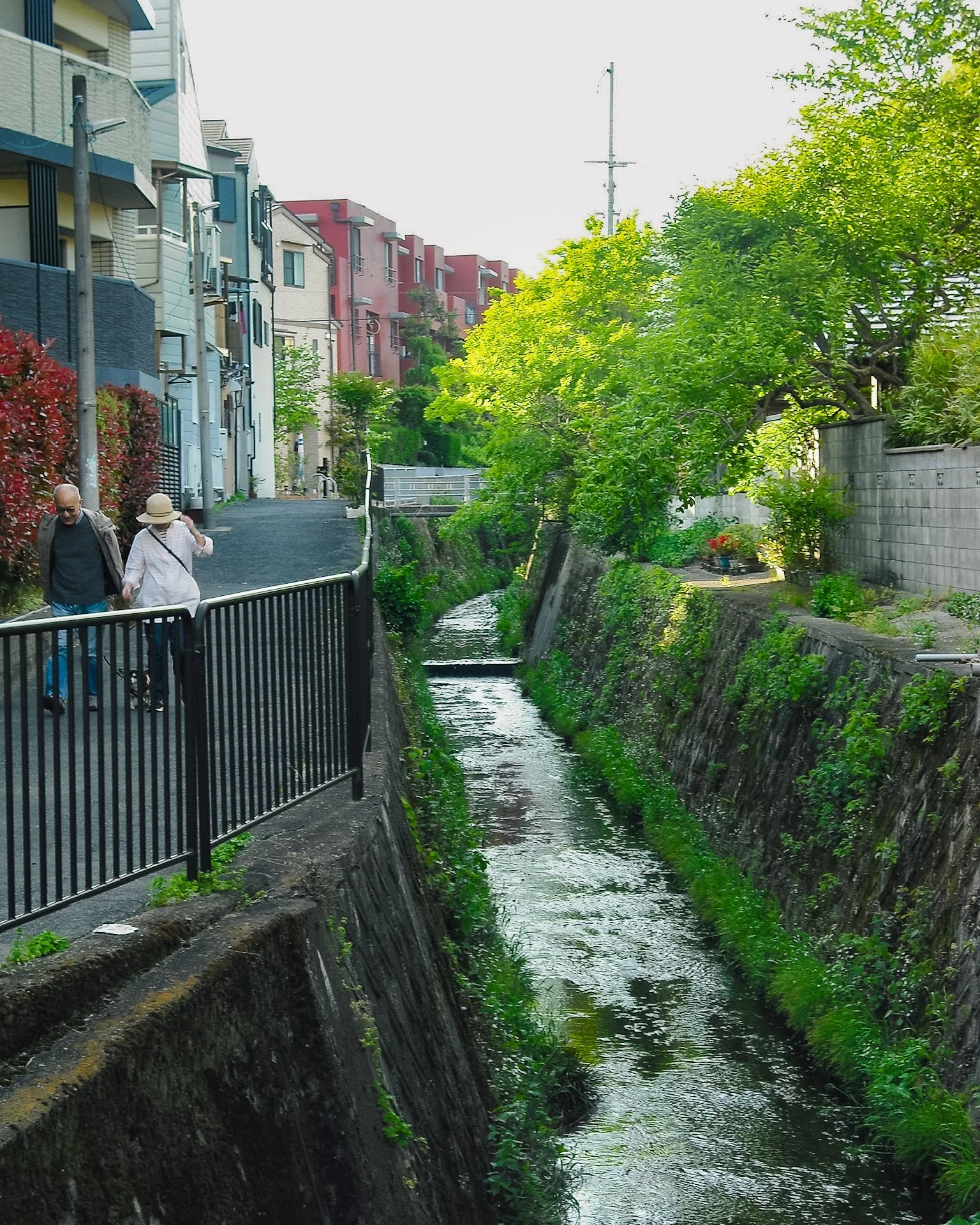 arashiyama.jpg