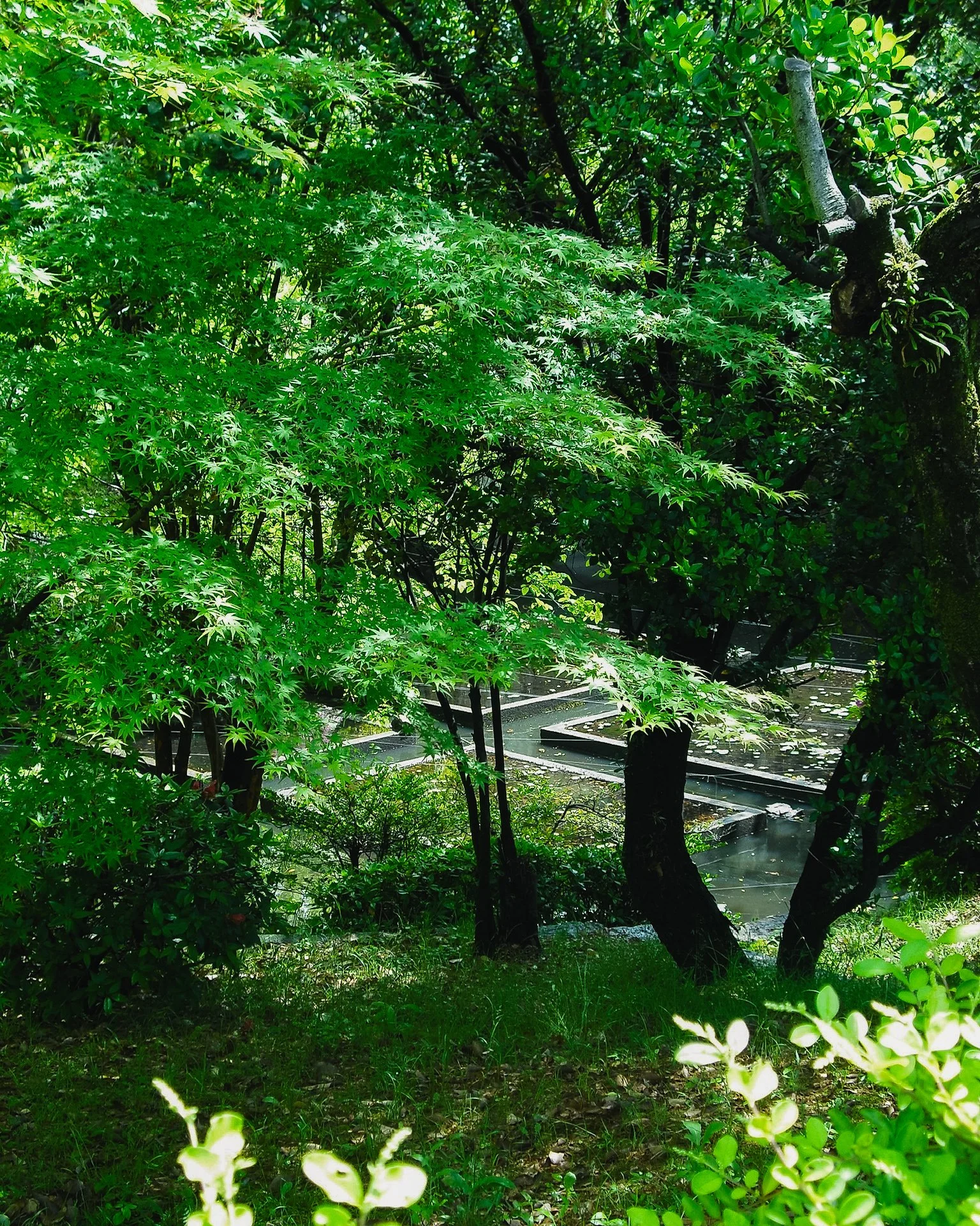 gion-13.jpg
