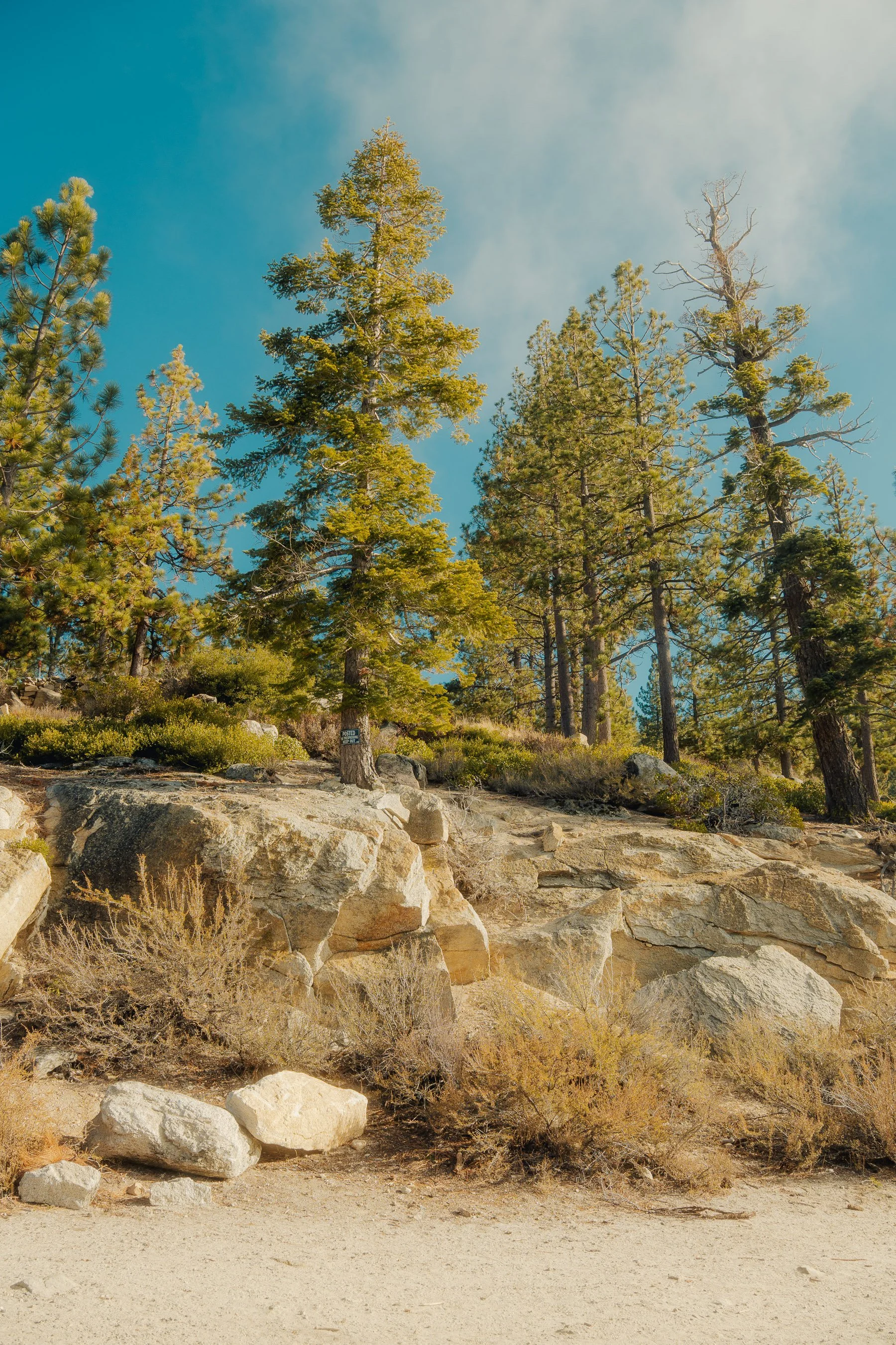 tahoe_2025-62.jpg