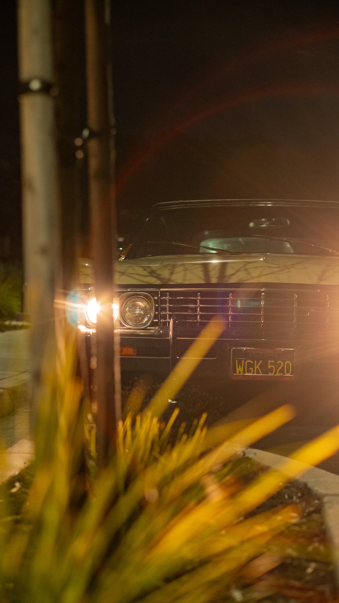 A vintage black car with yellow license plate 'WGK 520' parked at night, viewed through foliage and illuminated by headlights and a streetlamp.