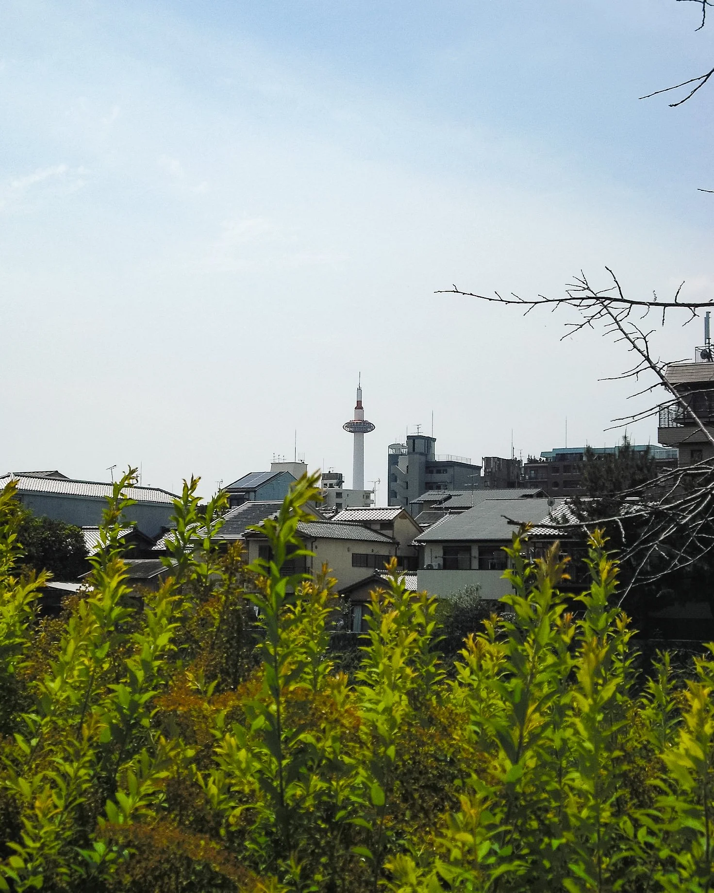 kyoto-8.jpg