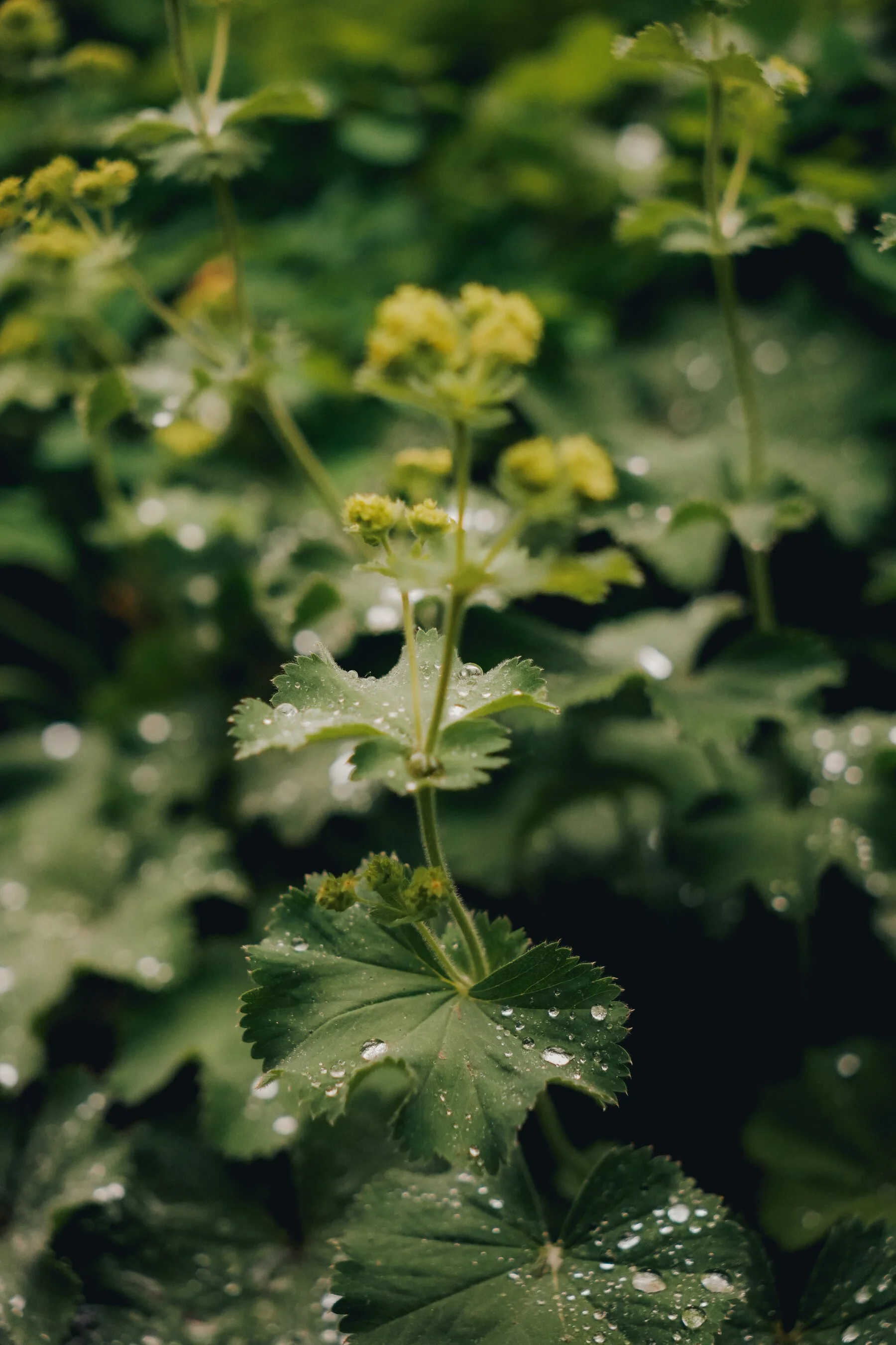 untitled-64.jpg