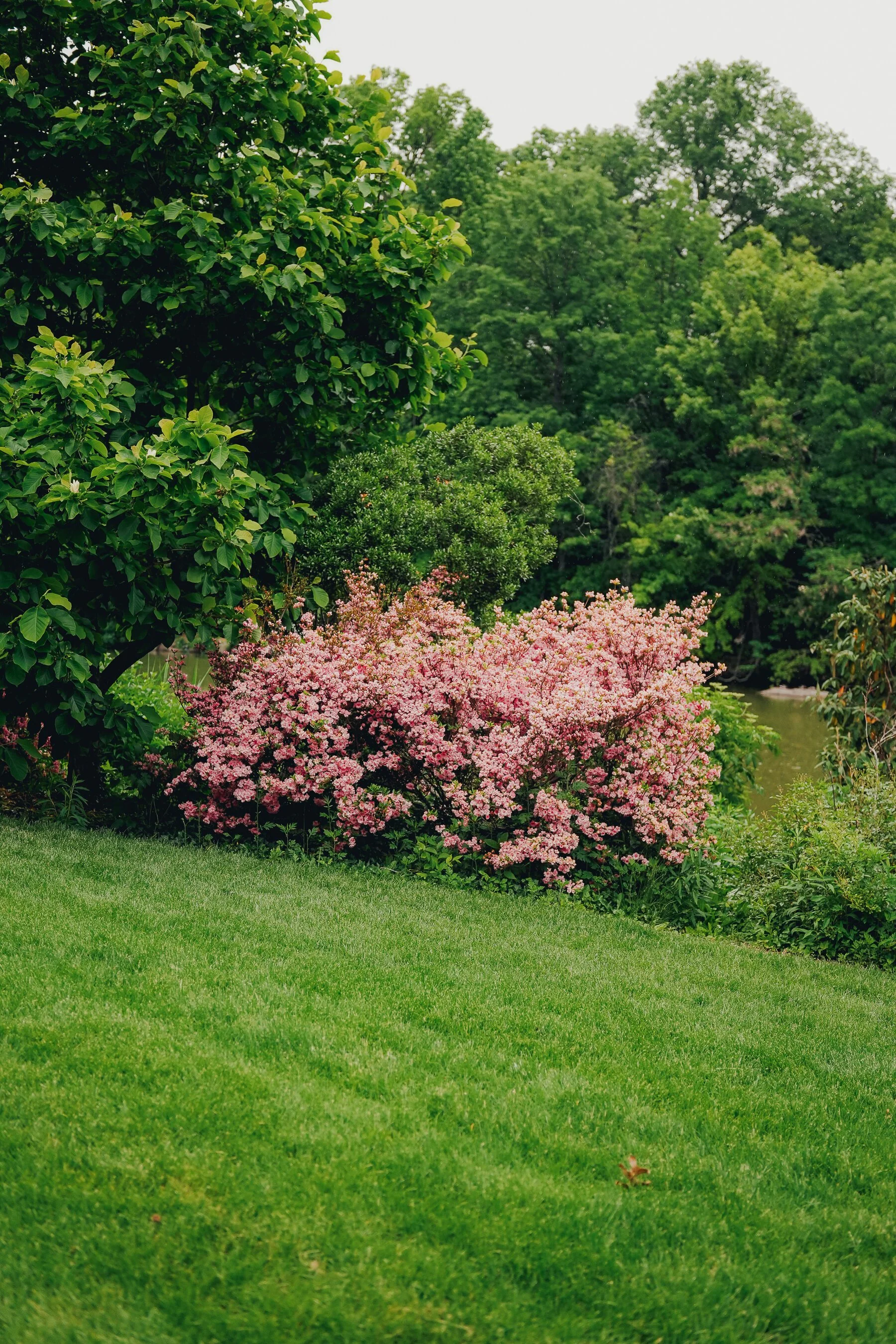 untitled-45.jpg