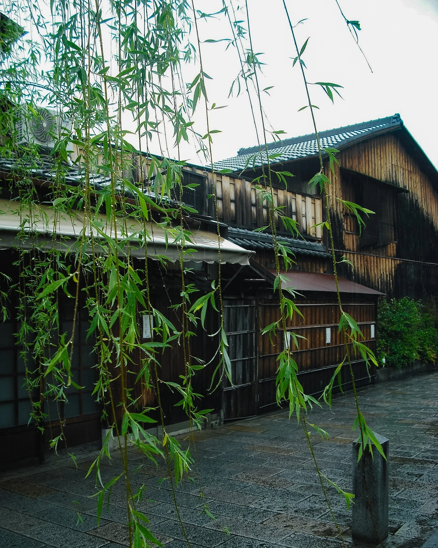 gion.jpg