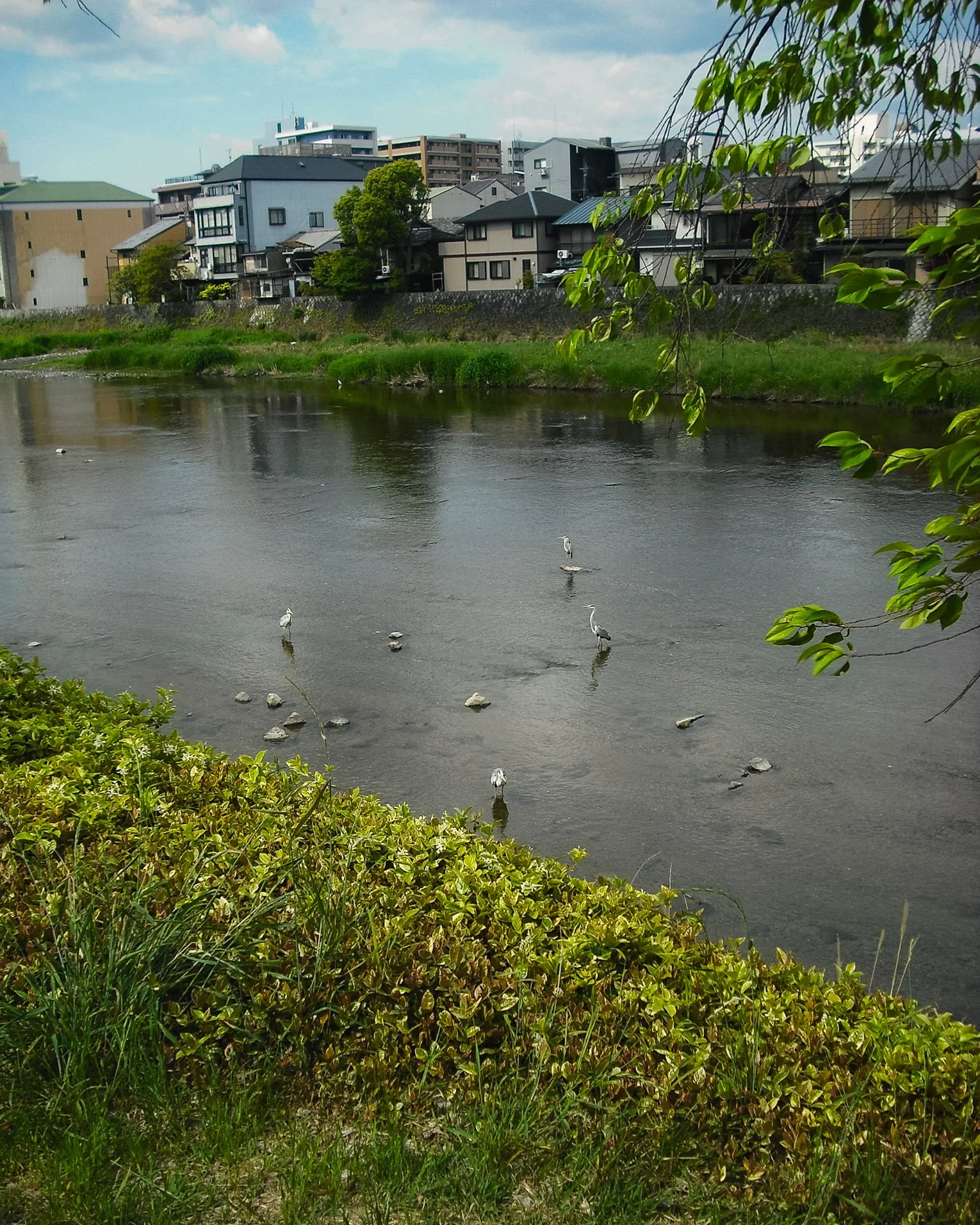 kyoto (2).jpg