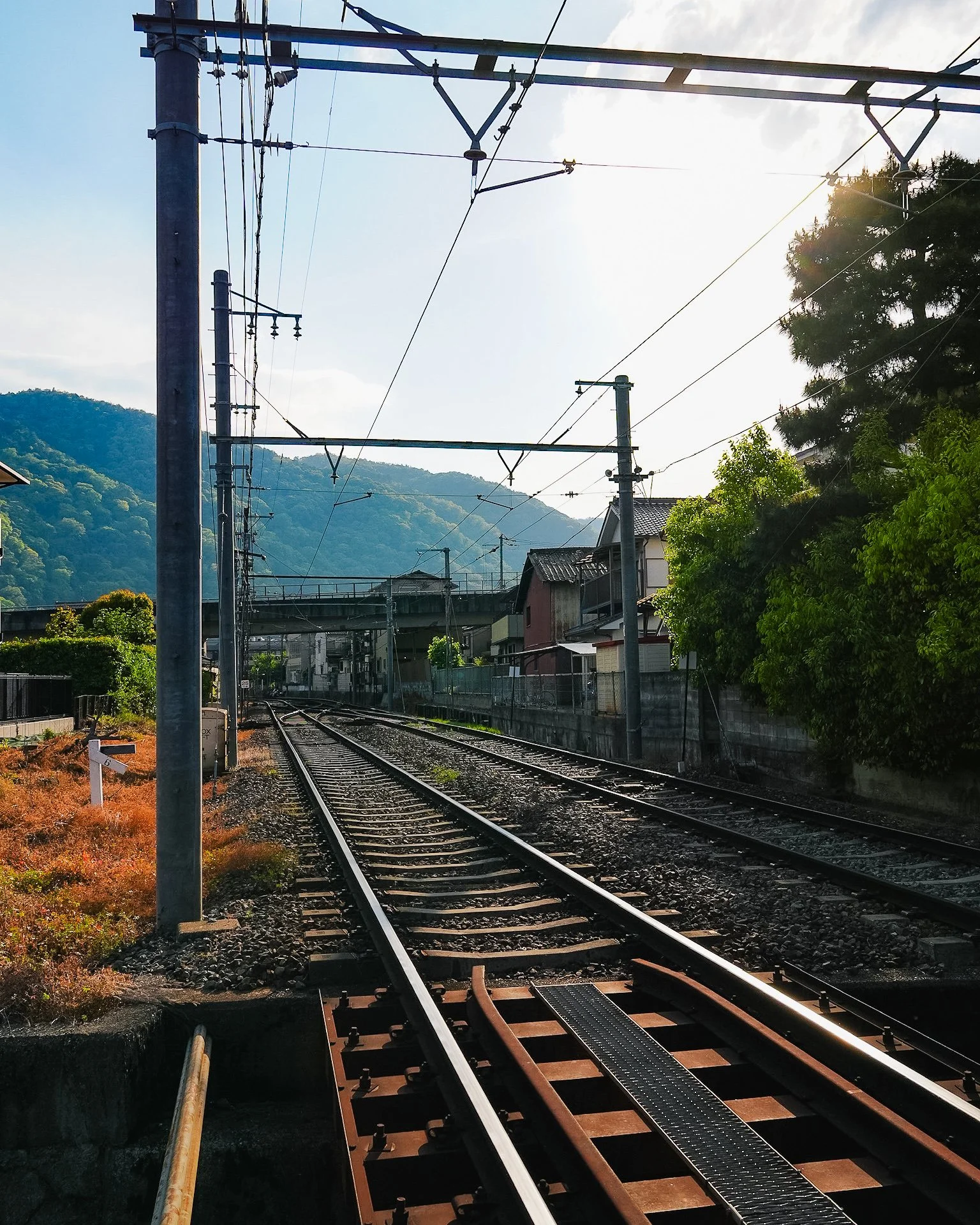 arashiyama-9.jpg