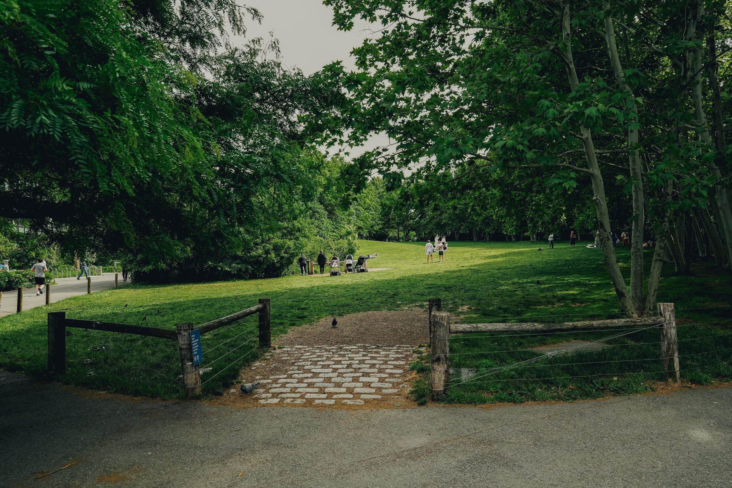 untitled-43.jpg