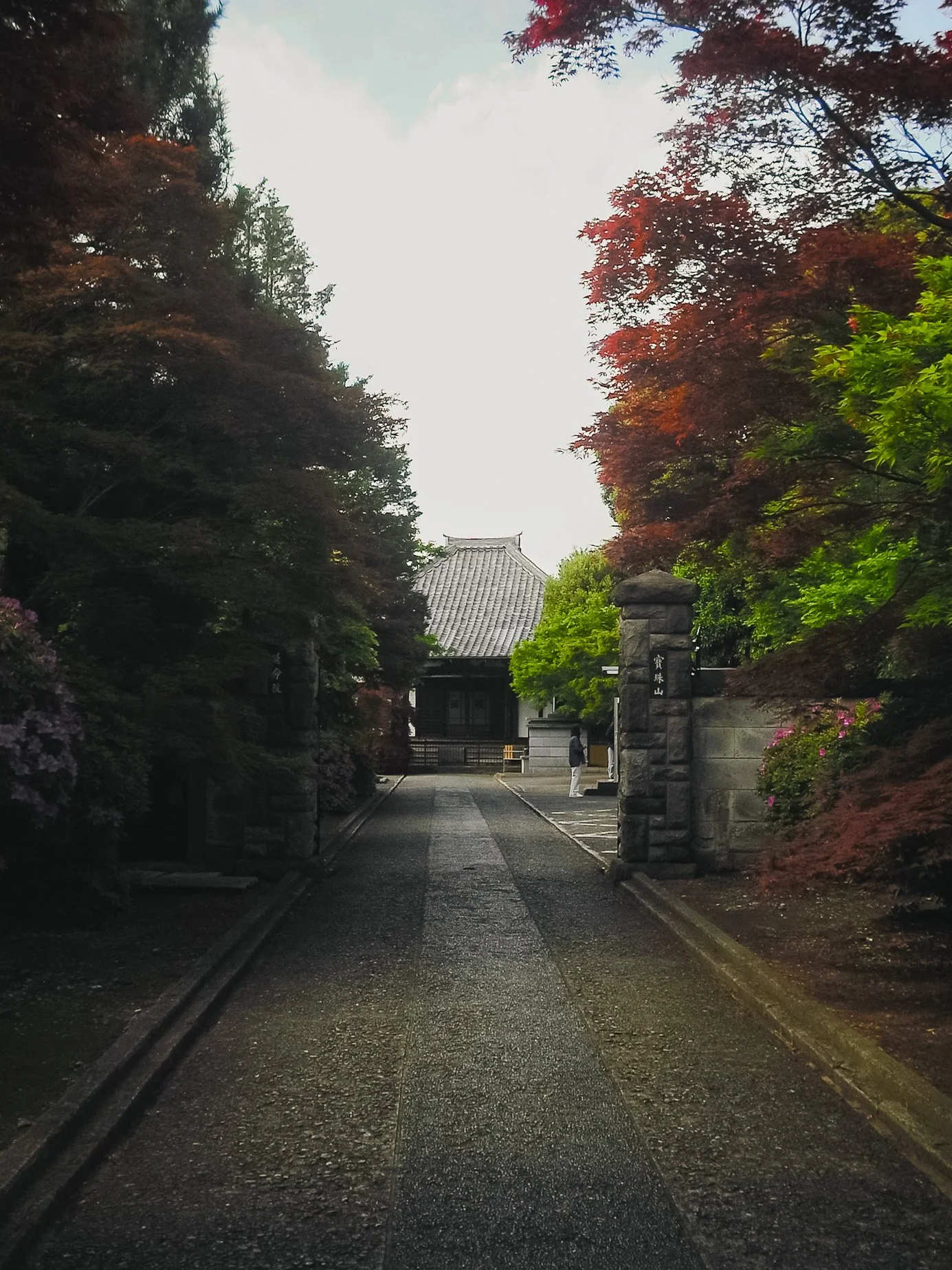 japan day 2-22.jpg