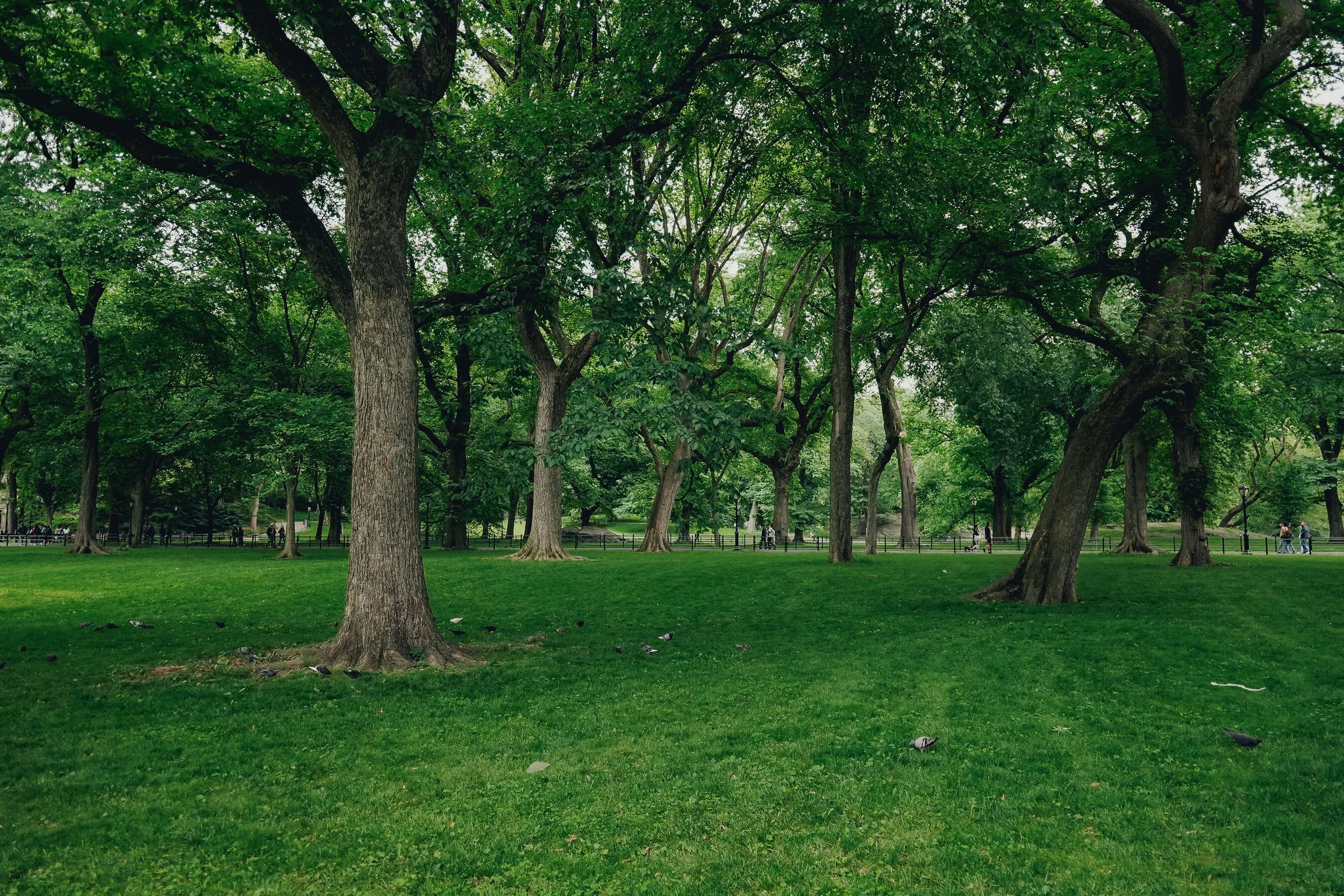 untitled-39.jpg