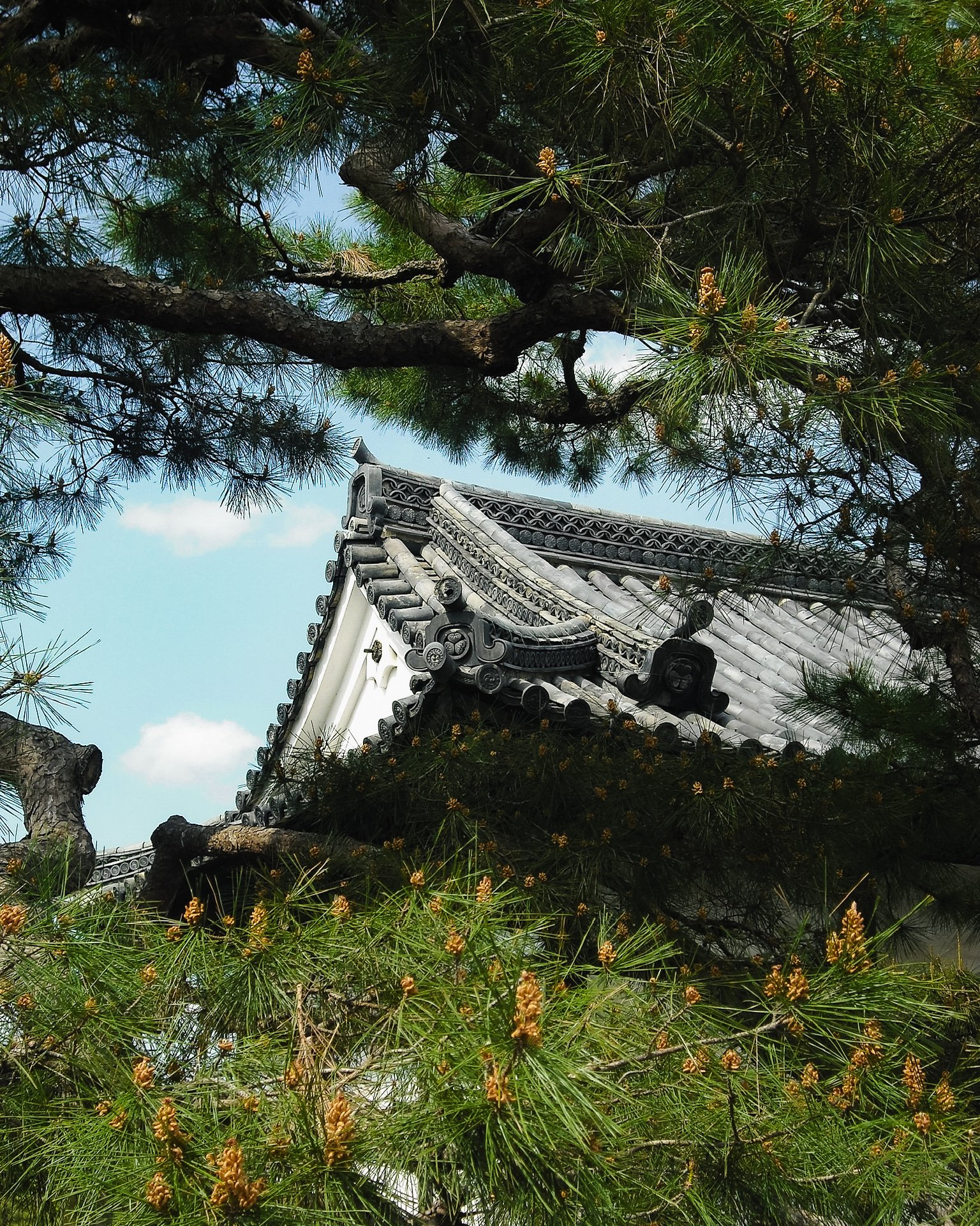 kyoto-12.jpg