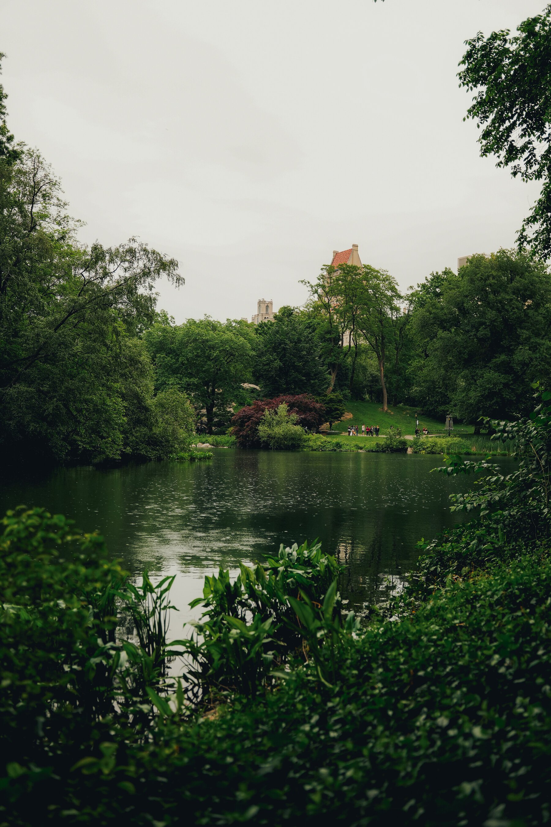 untitled-20.jpg