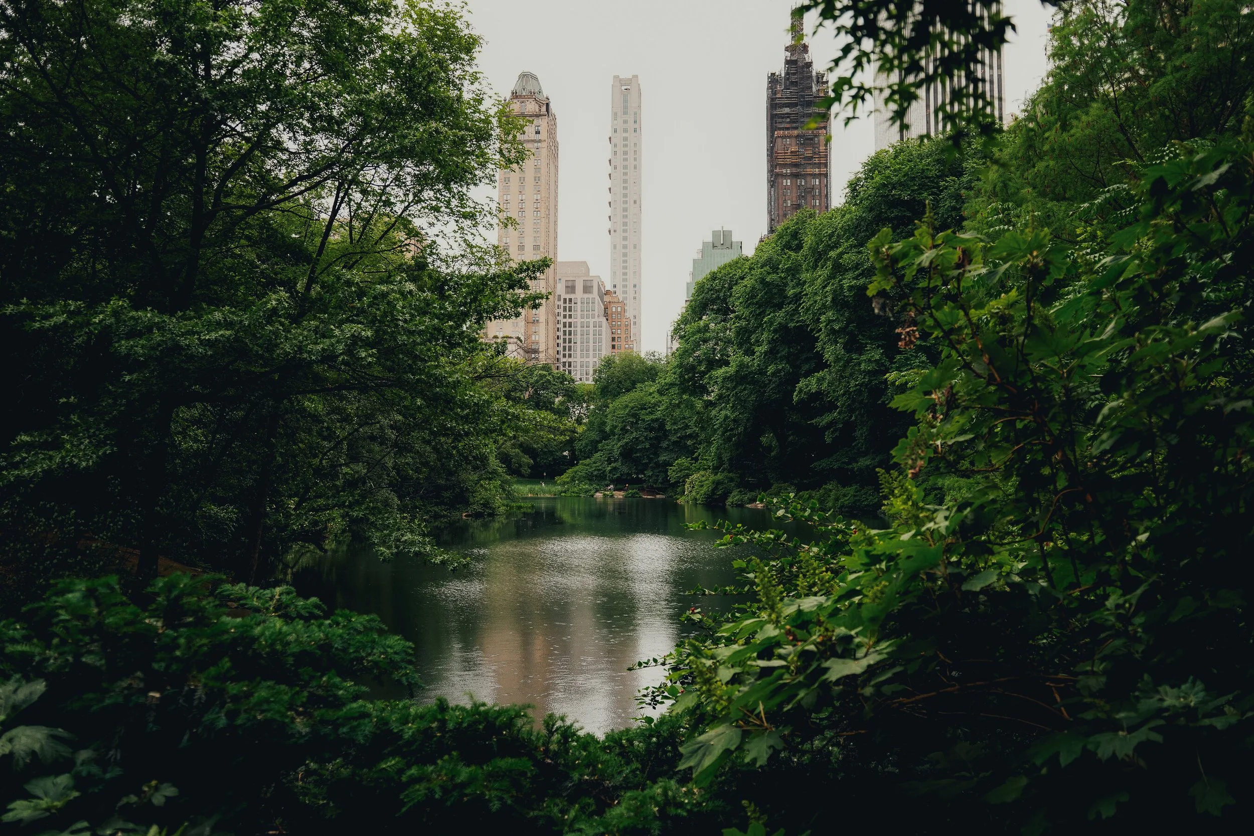 untitled-17.jpg