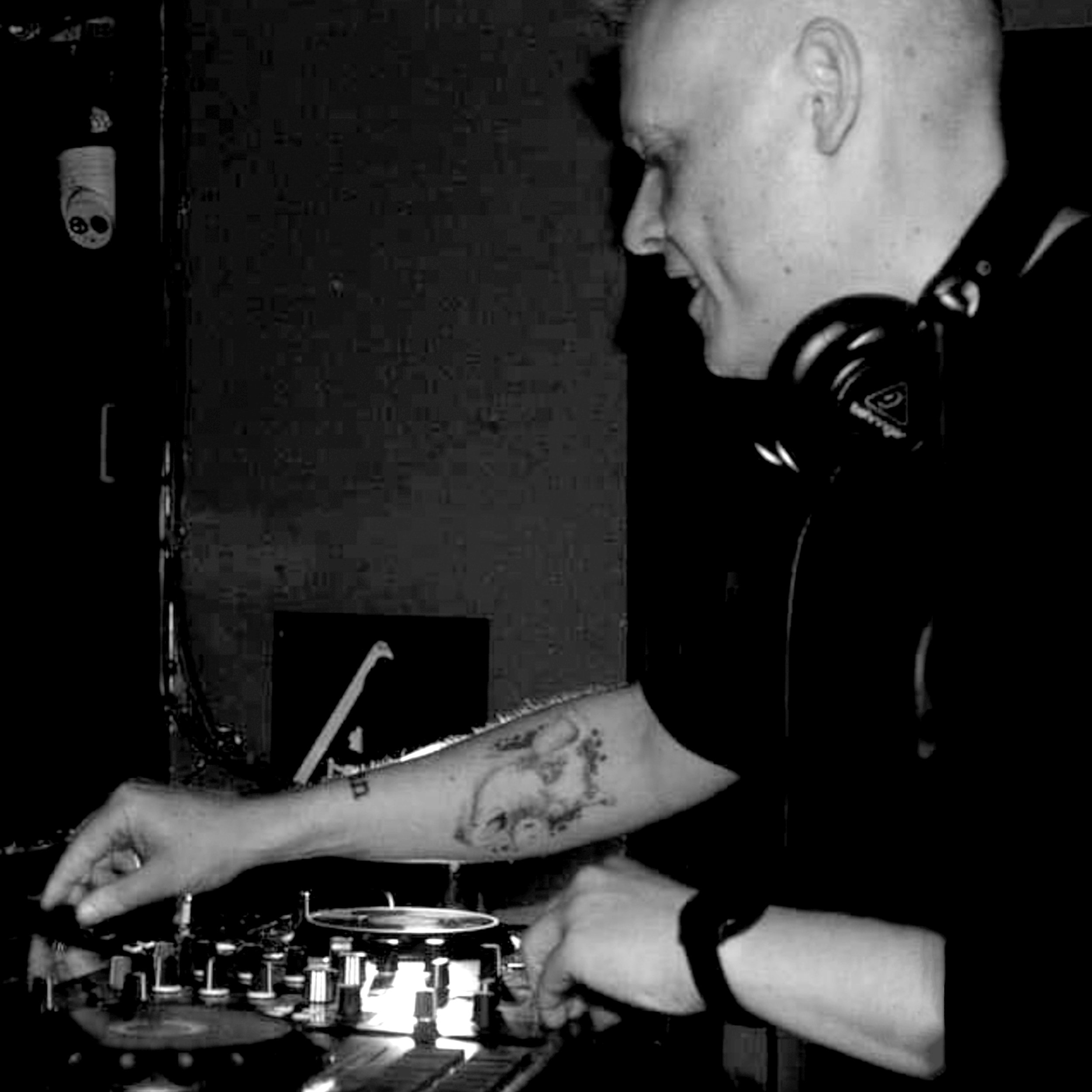 DFR - VEGANPEACENIK.png