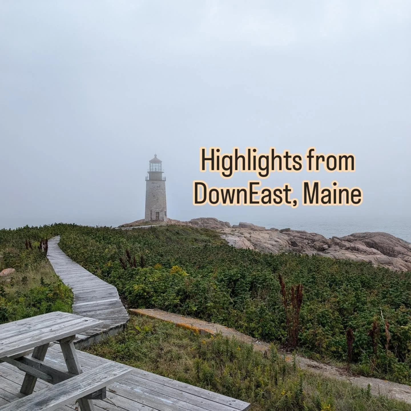 We took a trip DownEast! Less people, less towns, less boats, just STUNNING islands and gorgeous views in every direction. Even in the fog, Maine really showed off her natural beauty and incredible ability to grow wild berries! 🫐 

Top highlight was