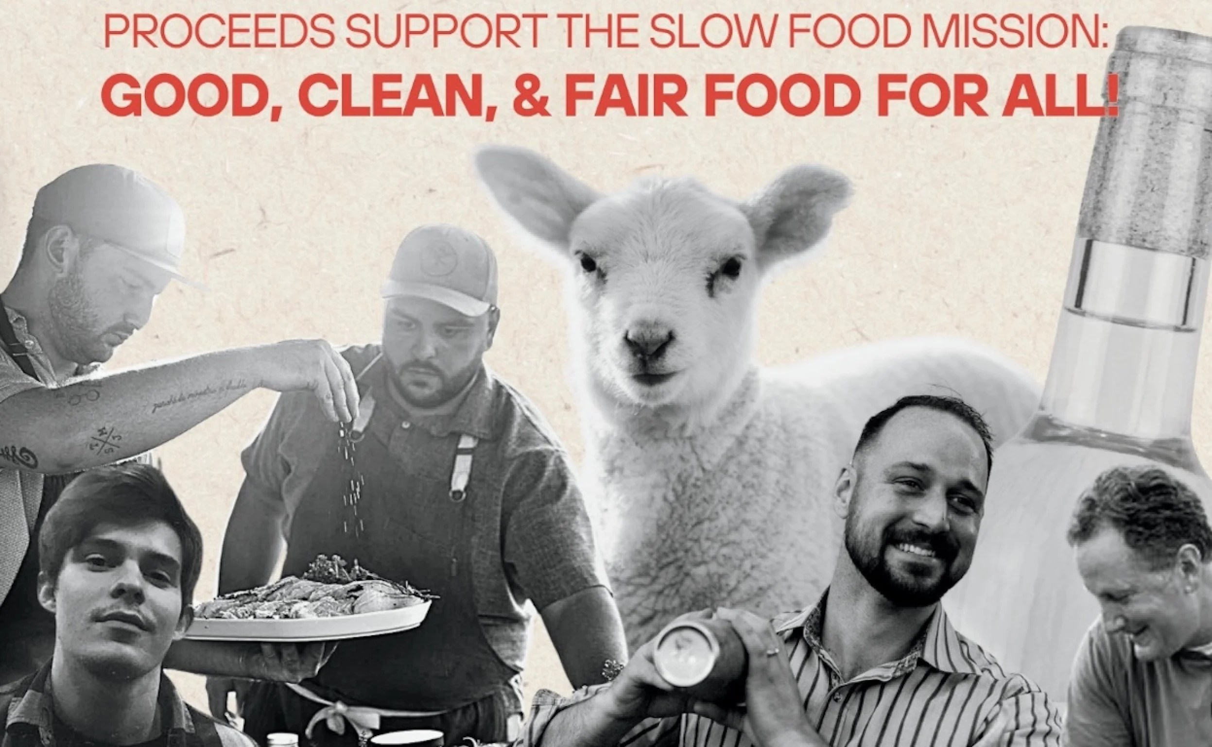 Image 6-3-25 at 9.10 PM.jpg