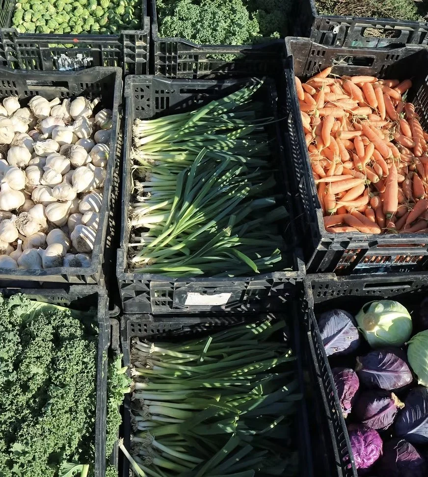 Image 11-4-25 at 6.53 AM.jpg