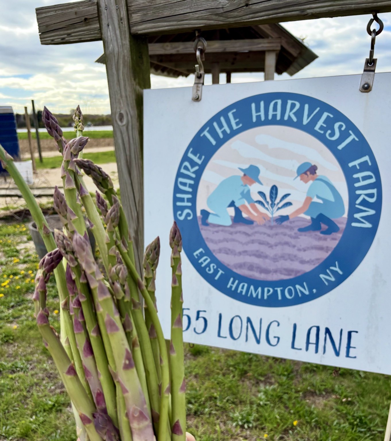 Share the Harvest continues to do important work