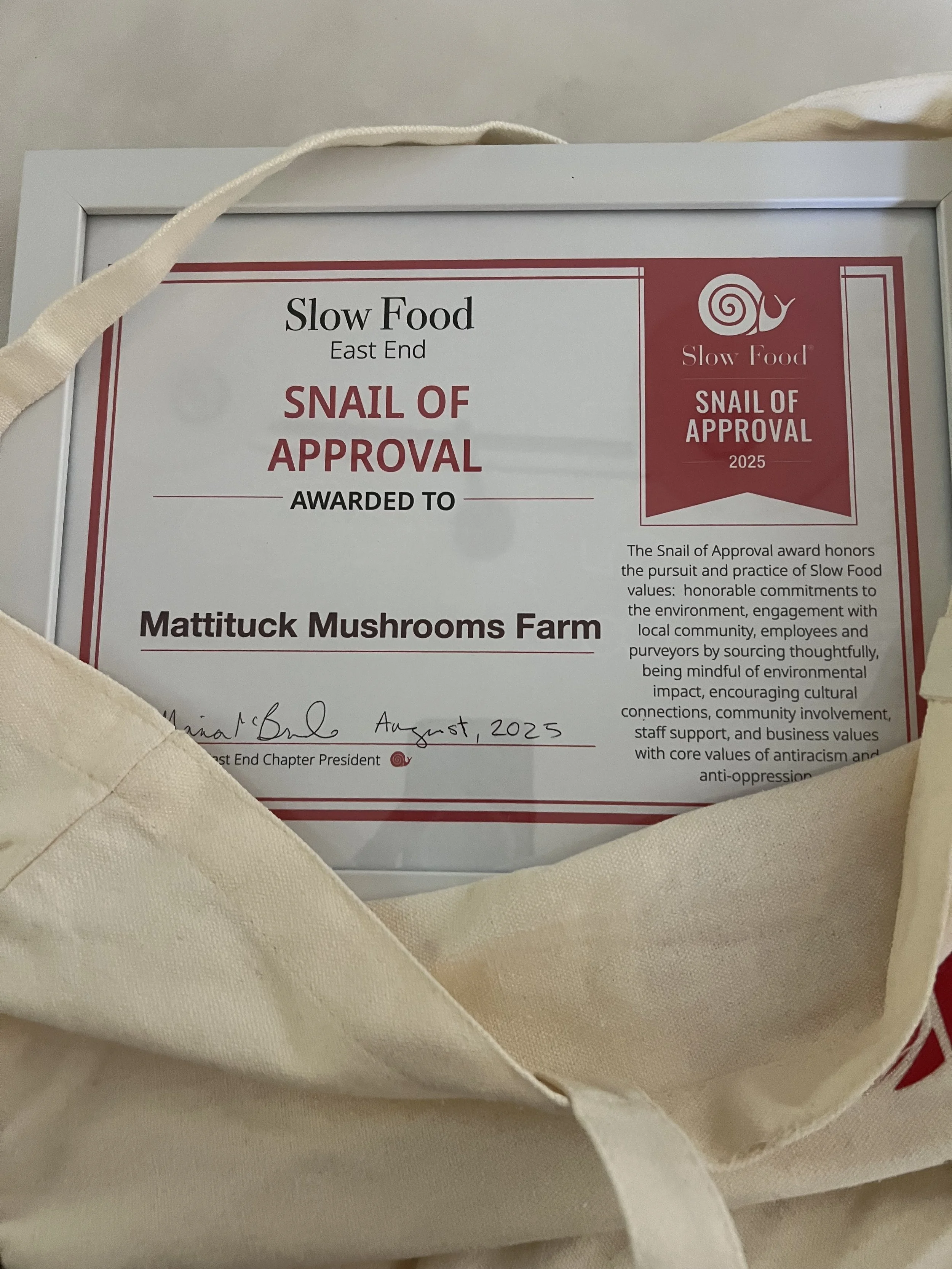 the Snail Award.jpeg