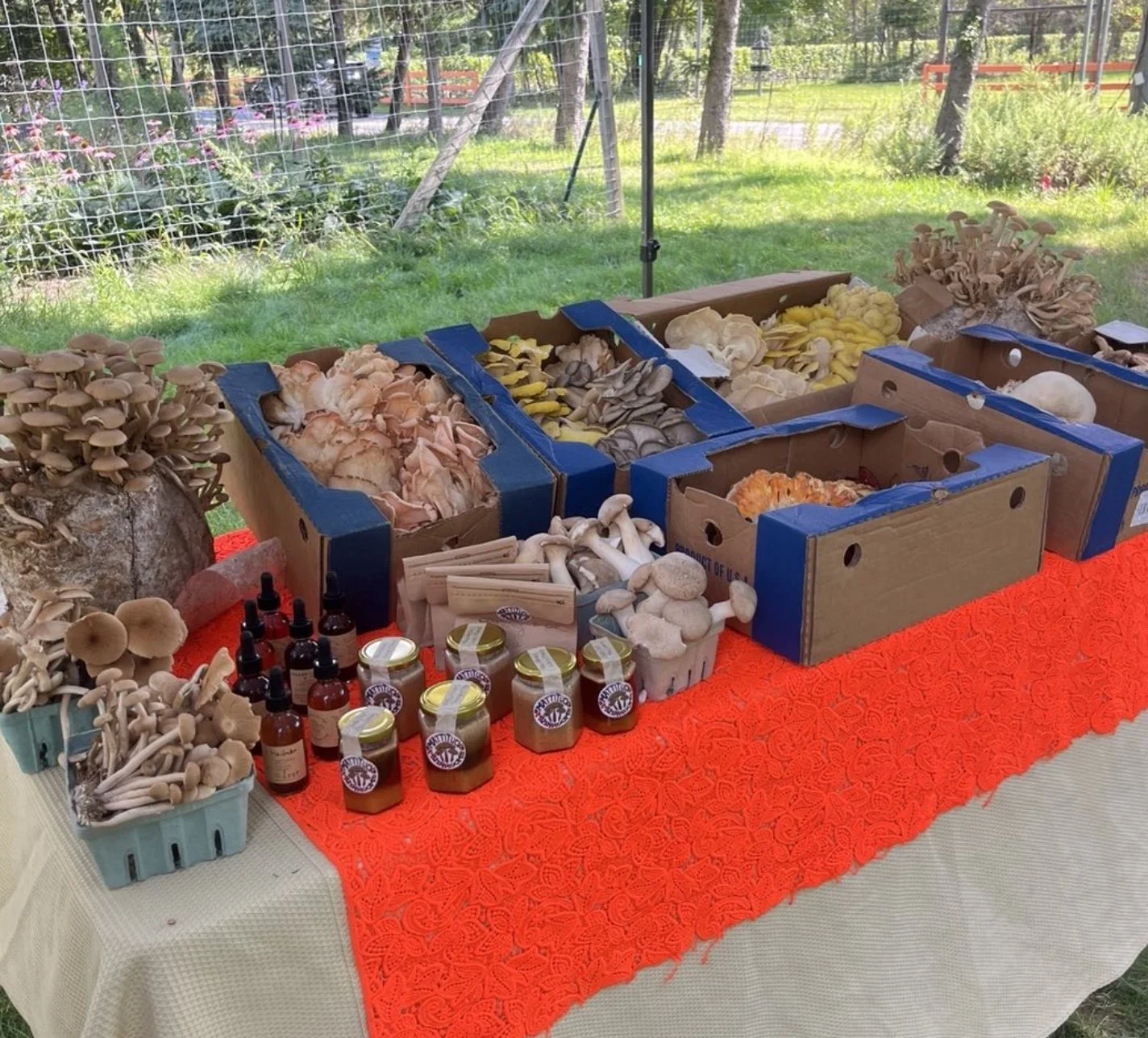 farm stand table .jpg