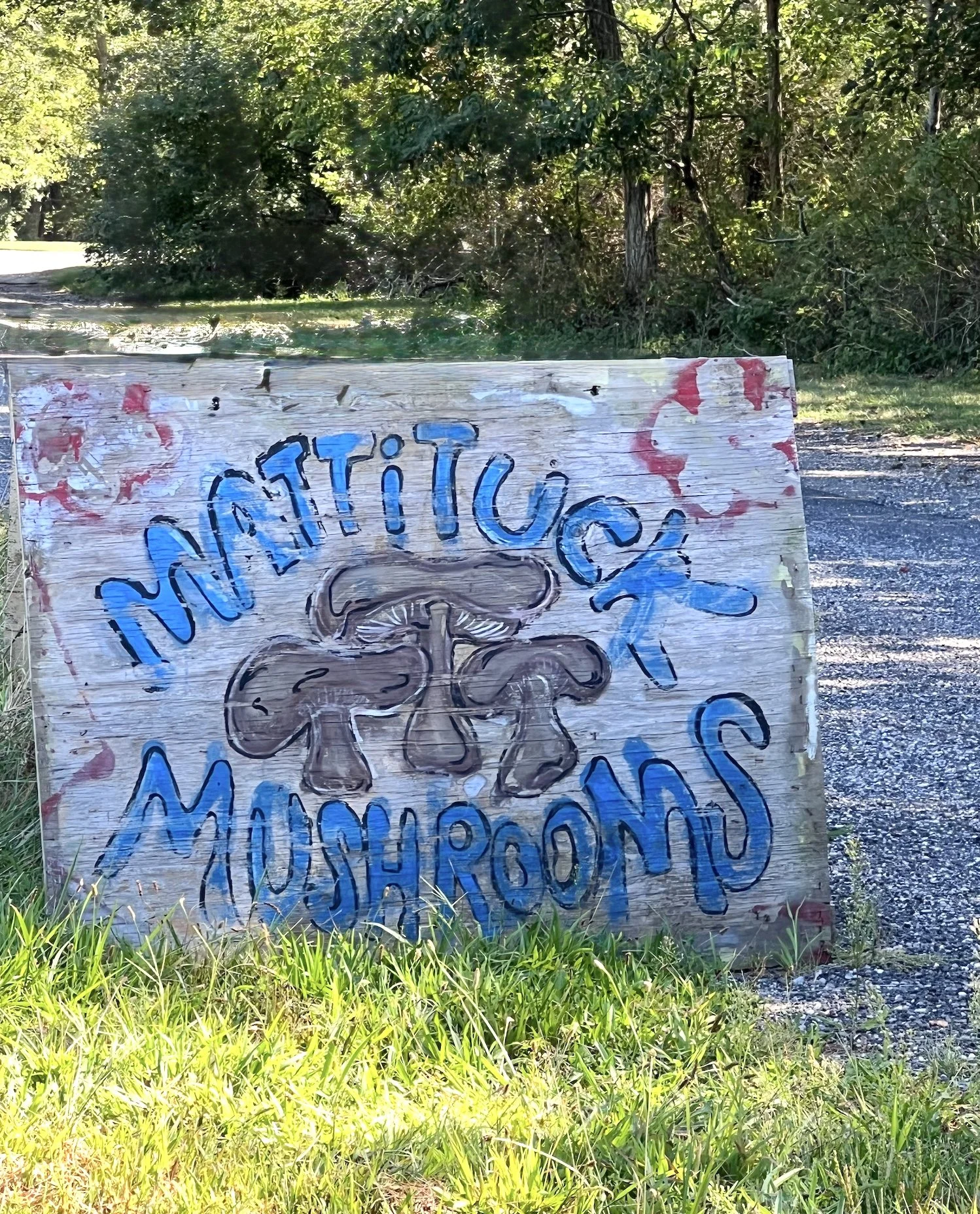 Mattituck&nbsp;Mushrooms is Awarded a Snail of Approval&nbsp;