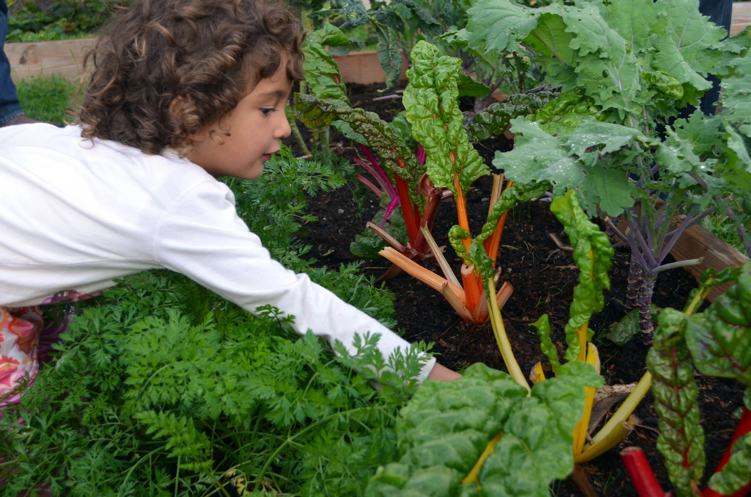 Join us for Slow Food East End’s Earth Day Celebration