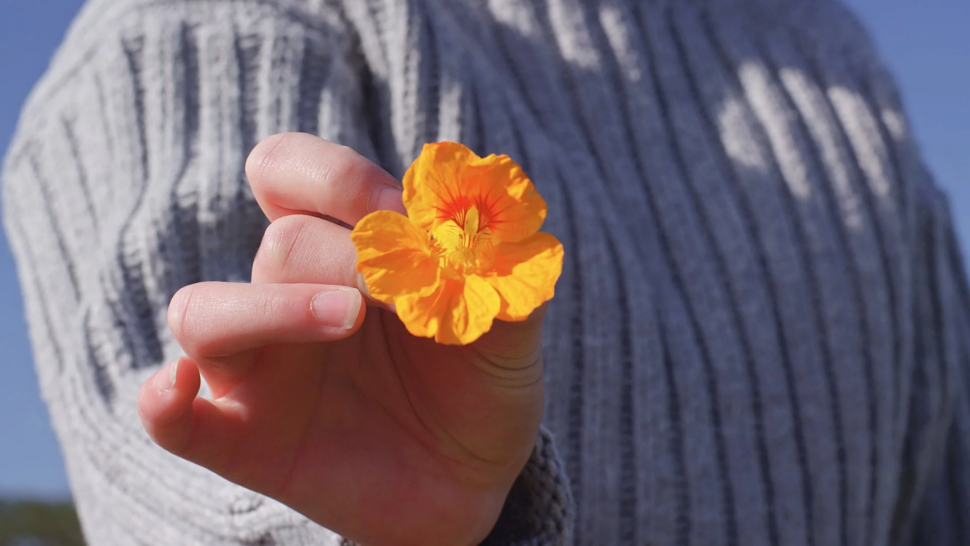 Summer Soirée at Share the Harvest Farm & Snail of Approval