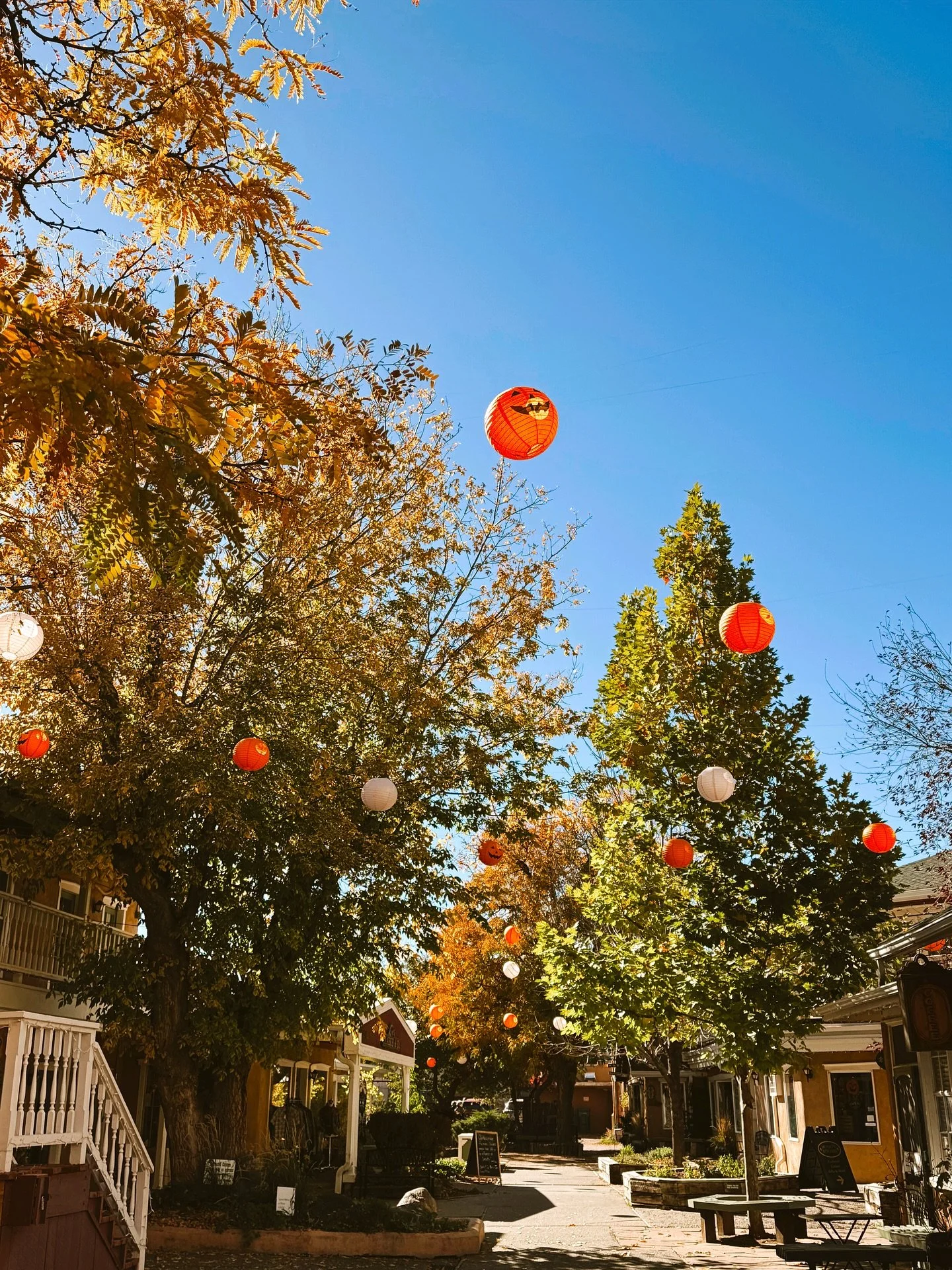 Halloween and Noche de Altares are happening this weekend in the Downtown Historic District! 

🕯️ Tips for families:

🎃 Expect lots of pedestrians &mdash; drive slowly and stay alert near downtown.
🎃 Bring a flashlight or glow gear for little ones