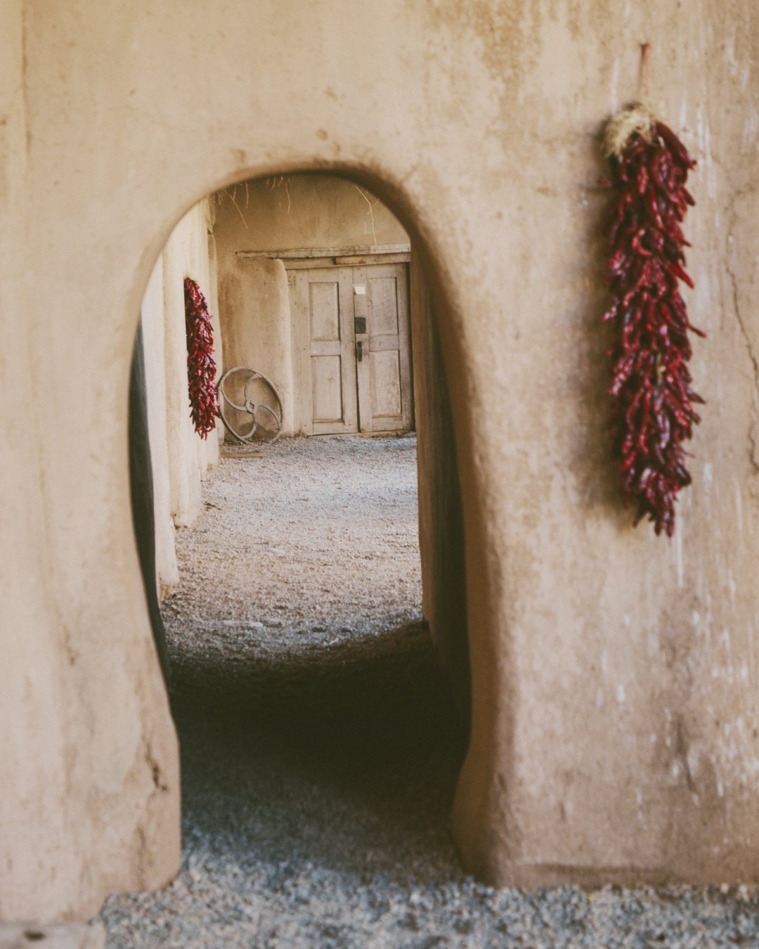 The table was set, the conversation was real, and something new took root 🌱

At Hacienda de los Martinez, the first SEED (Sustainable Experience &amp; Entrepreneur Development) dinner brought together an inspiring cohort of local innovators, storyte