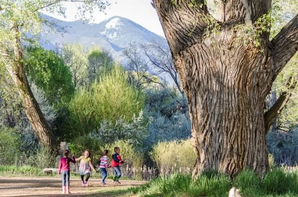 Re-Earthing Futures Family Festival