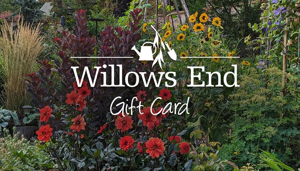 willows-end-gift-card-image.jpg