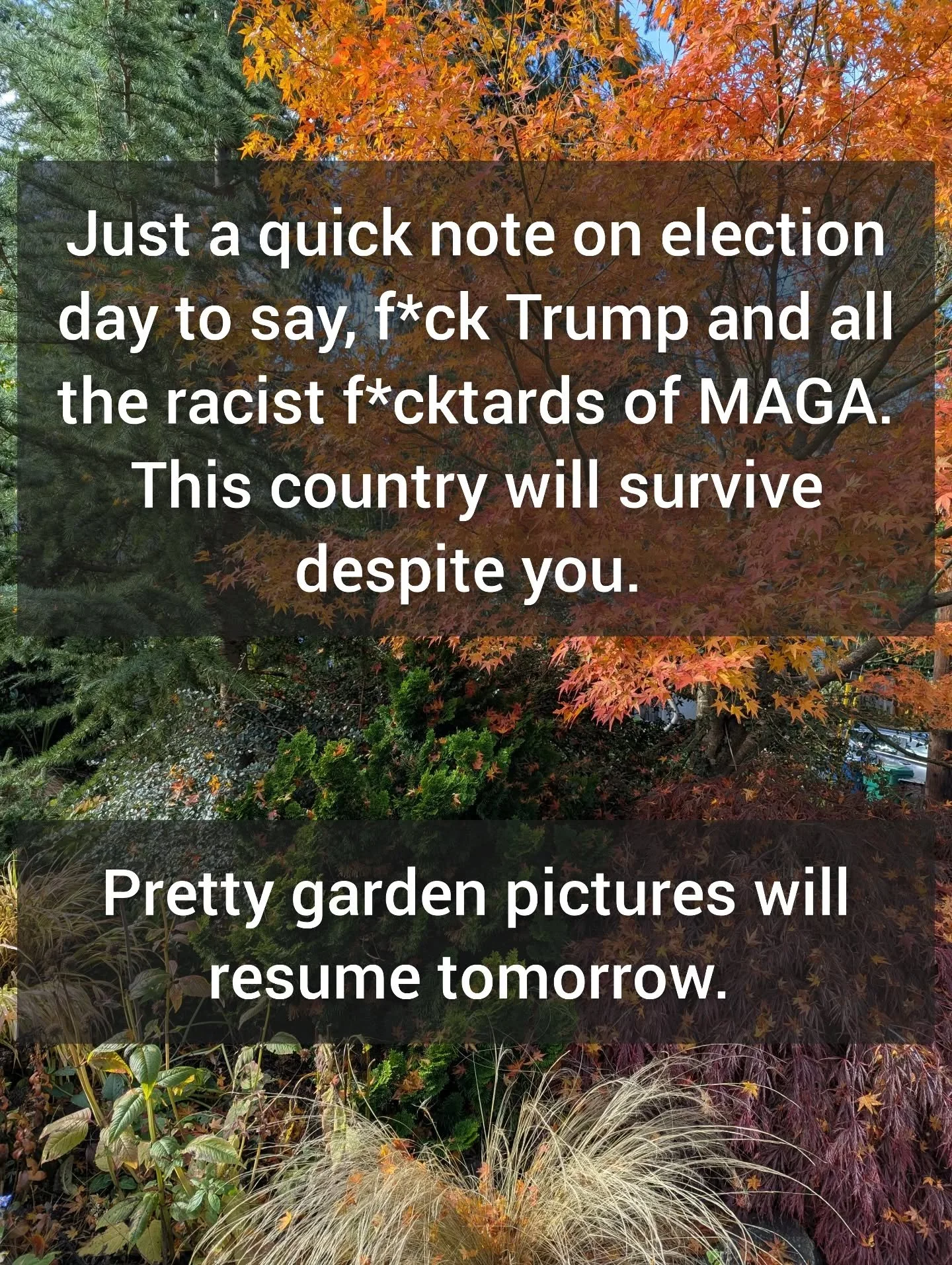Words embedded in picture: 

&quot;Just a quick note on election day to say, f*ck Trump and all the racist f*cktards of MAGA. This country will survive despite you.

Pretty garden pictures will resume tomorrow.&quot;